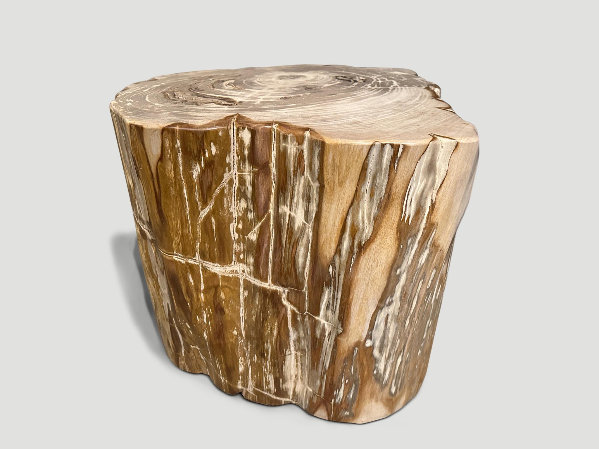 Contemporary Andrianna Shamaris Impressive High Quality Petrified Wood Large Side Table For Sale