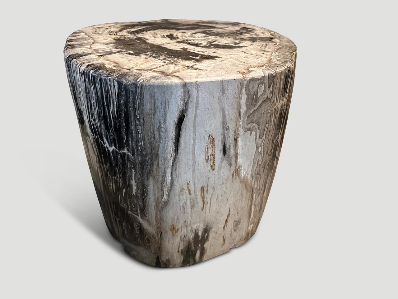 Contemporary Andrianna Shamaris Impressive High Quality Petrified Wood Large Side Table