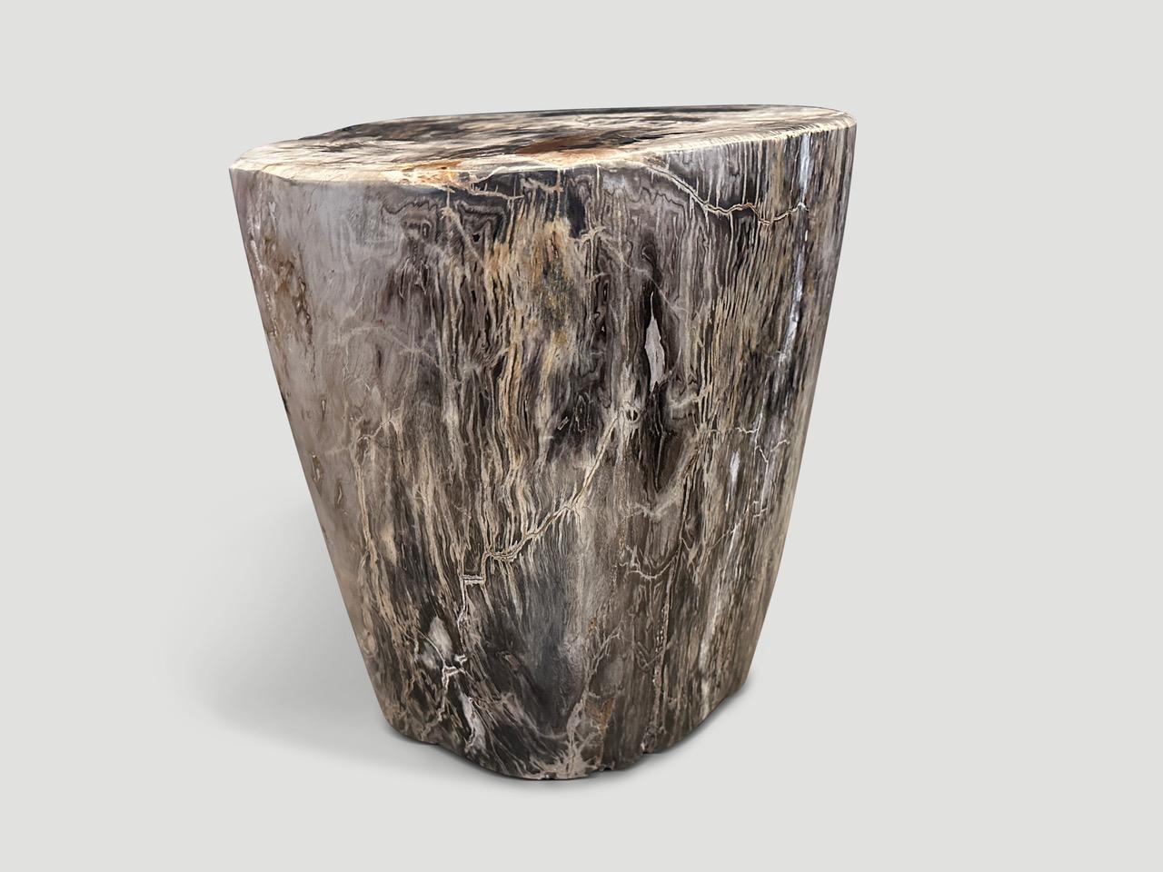 Andrianna Shamaris Impressive High Quality Petrified Wood Large Side Table In Excellent Condition For Sale In New York, NY