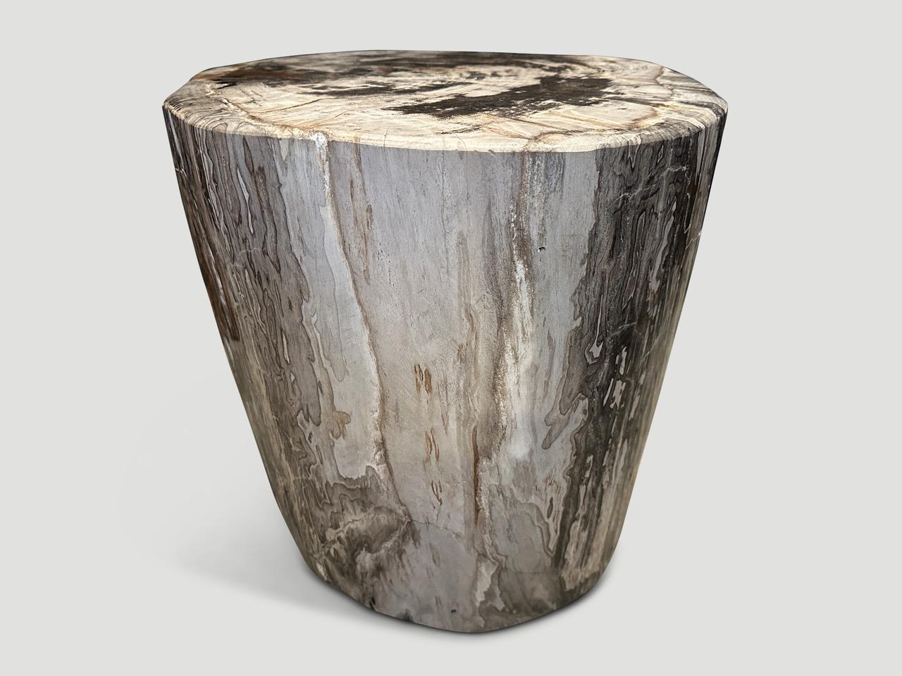 Contemporary Andrianna Shamaris Impressive High Quality Petrified Wood Large Side Table For Sale