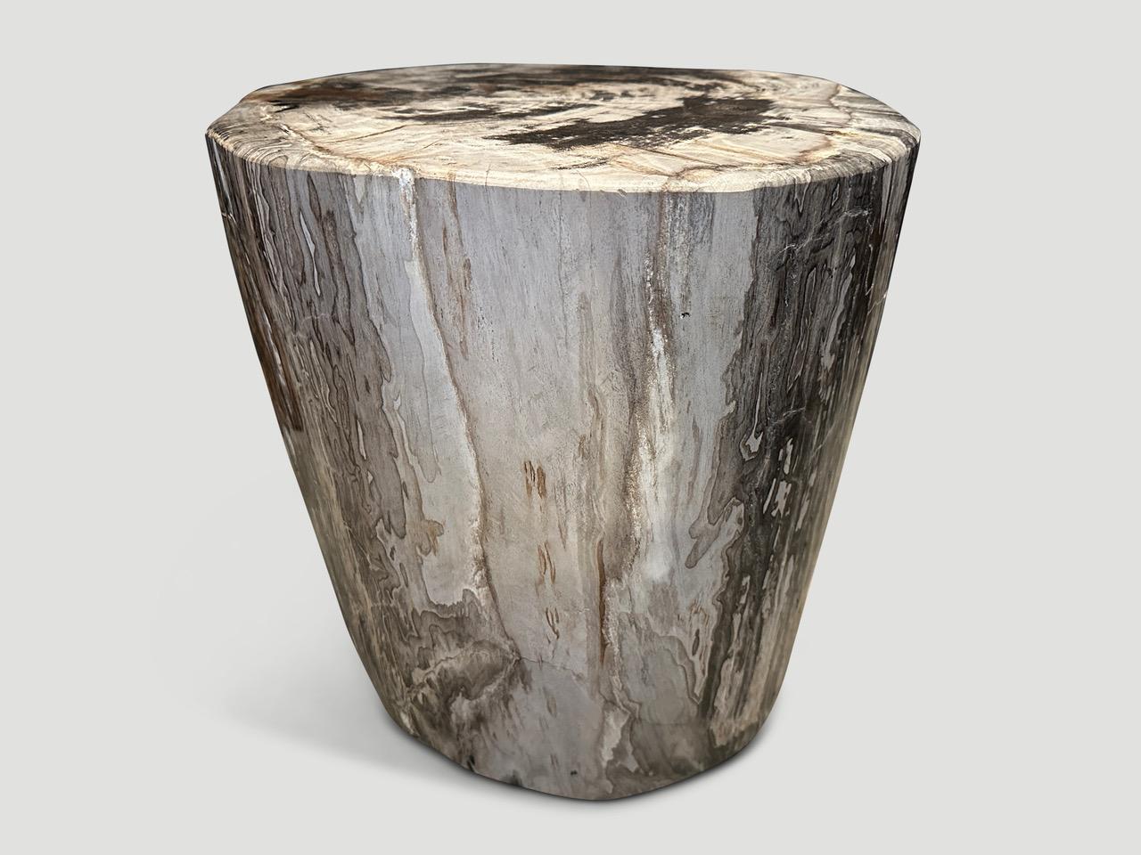 Contemporary Andrianna Shamaris Impressive High Quality Petrified Wood Large Side Table