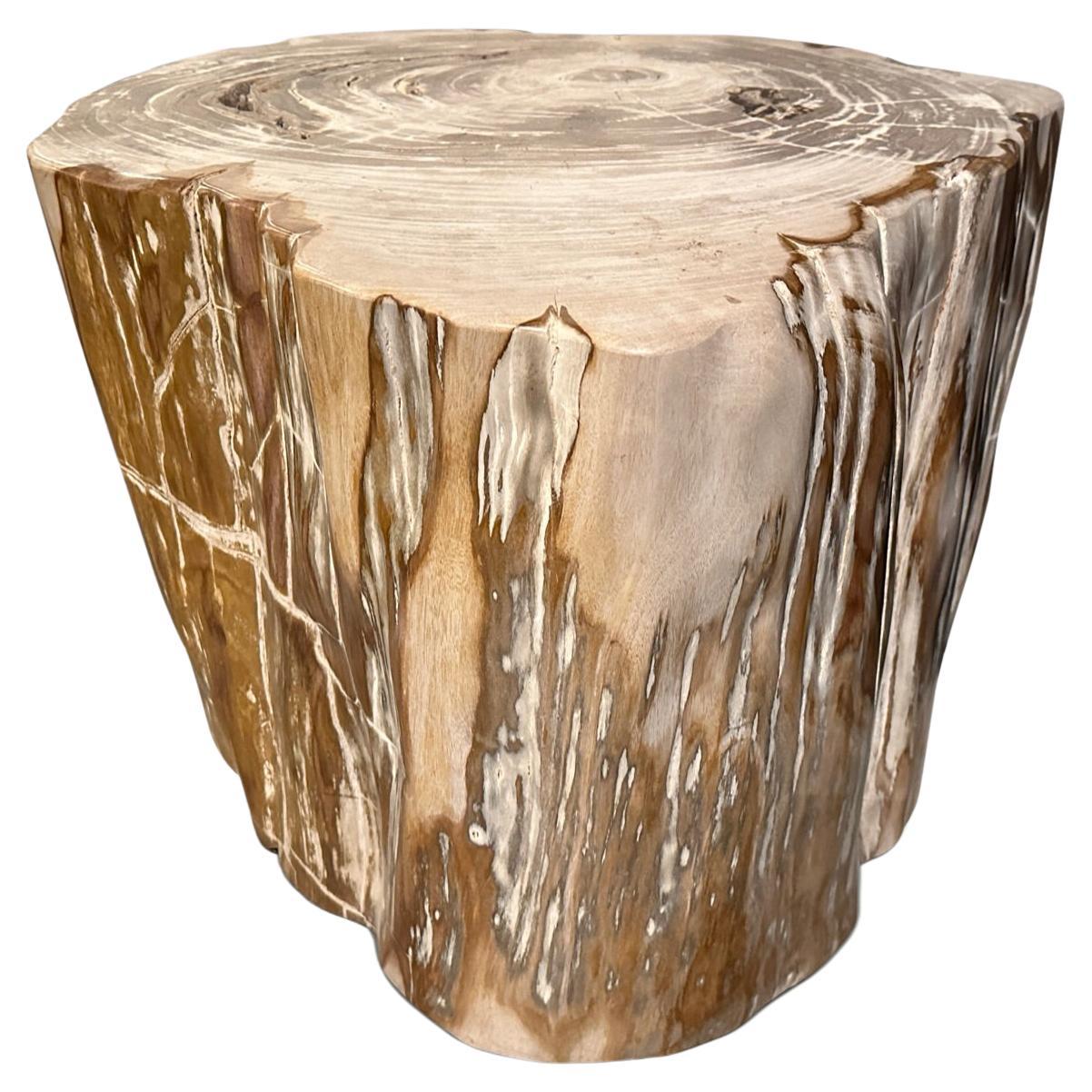 Andrianna Shamaris Impressive High Quality Petrified Wood Large Side Table For Sale