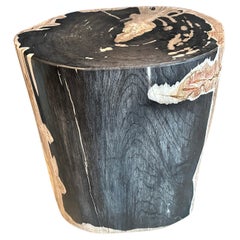 Andrianna Shamaris Impressive High Quality Petrified Wood Large Side Table