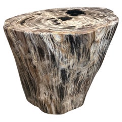 Andrianna Shamaris Impressive High Quality Petrified Wood Large Side Table