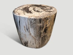 Andrianna Shamaris Impressive High Quality Petrified Wood Large Side Table