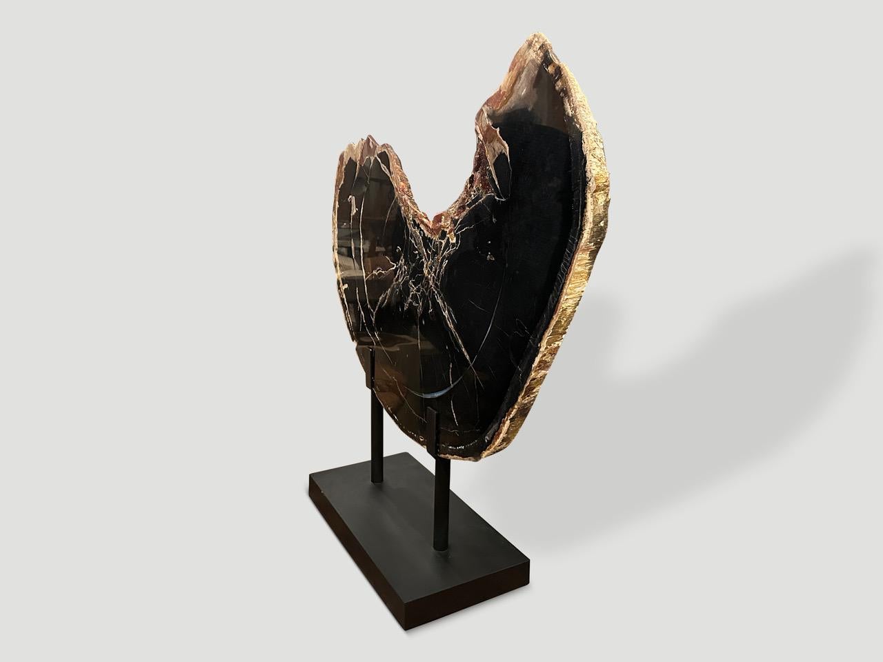 A rare two inch thick slab of petrified wood floats on a minimalist metal base. This ancient slab can also be used as a dramatic coffee table. Contrasting white markings and natural crystals are embedded on both sides. We polished one side and left
