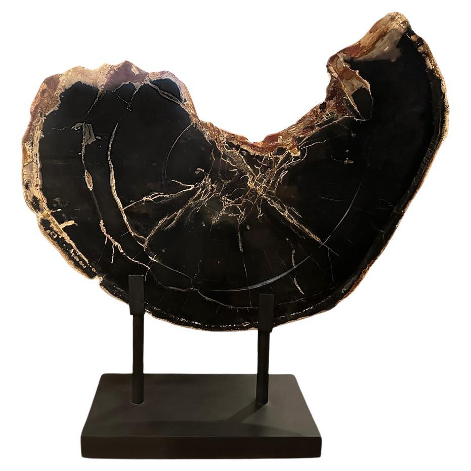 Andrianna Shamaris Impressive High Quality Petrified Wood or Sculpture For Sale