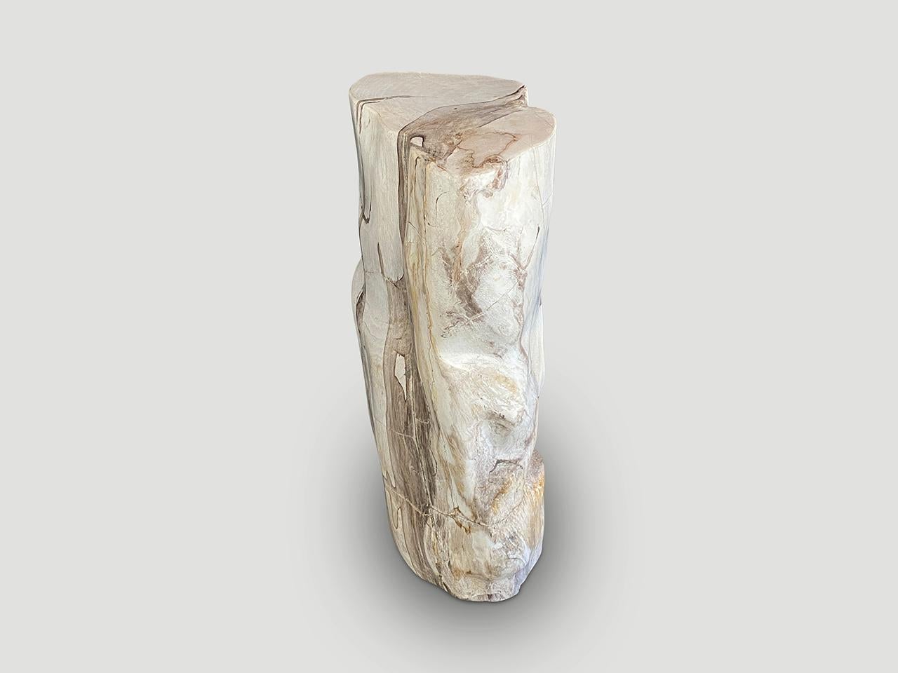 Organic Modern Andrianna Shamaris Impressive High Quality Petrified Wood Pedestal