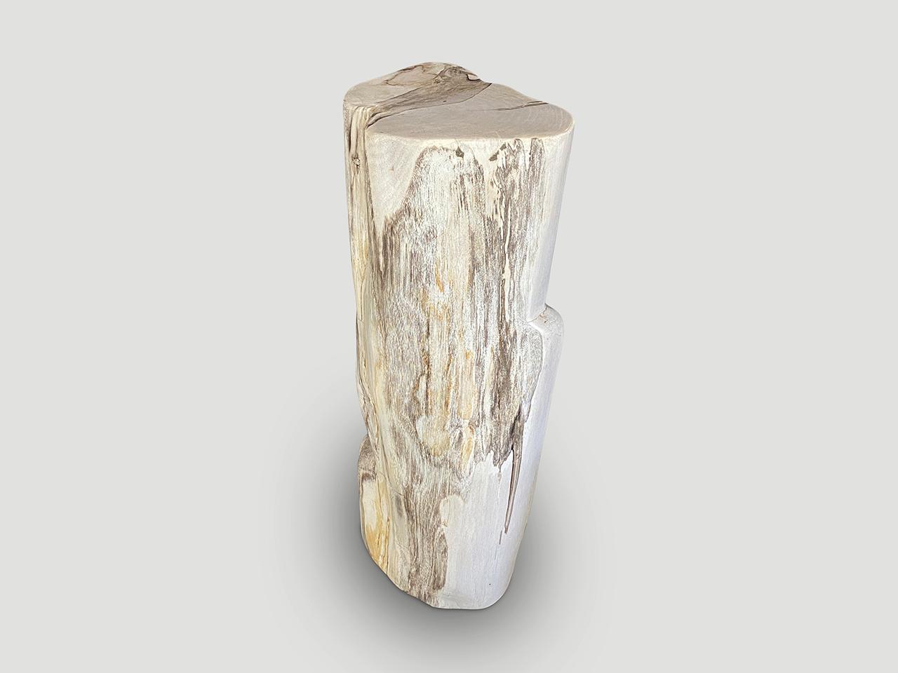 Contemporary Andrianna Shamaris Impressive High Quality Petrified Wood Pedestal
