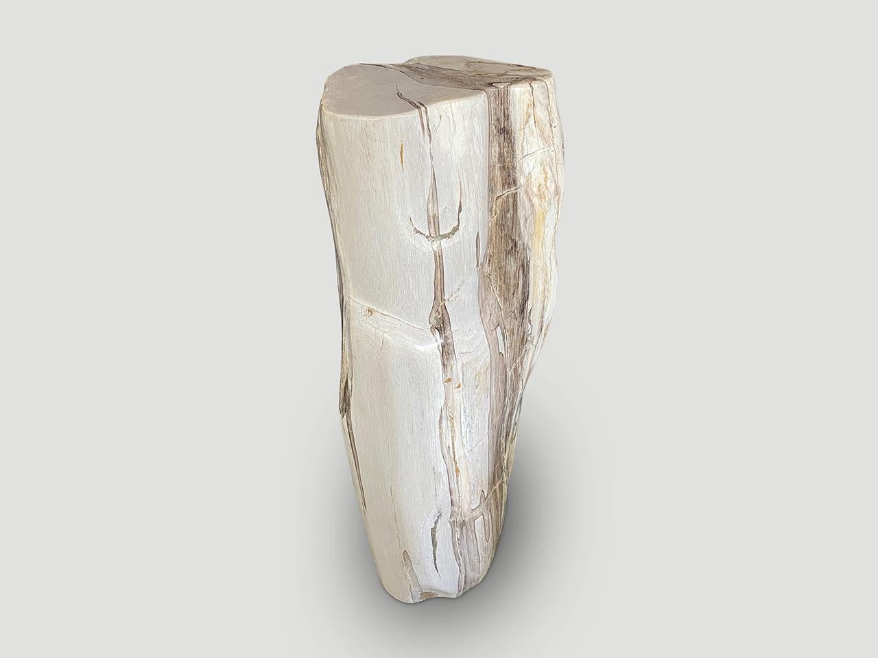 Andrianna Shamaris Impressive High Quality Petrified Wood Pedestal 2