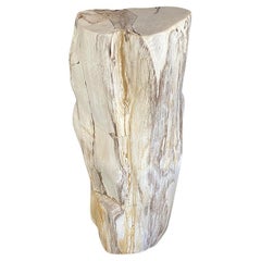 Andrianna Shamaris Impressive High Quality Petrified Wood Pedestal