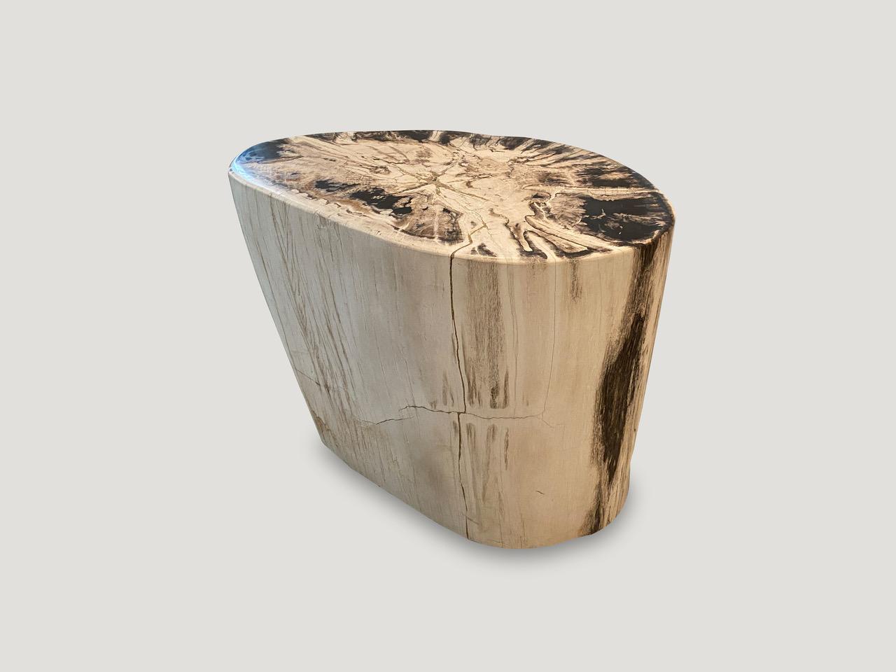 Impressive over sized high quality petrified wood side table with dramatic contrasting tones. It’s fascinating how Mother Nature produces these stunning 40 million year old petrified teak logs with such contrasting colors with natural patterns