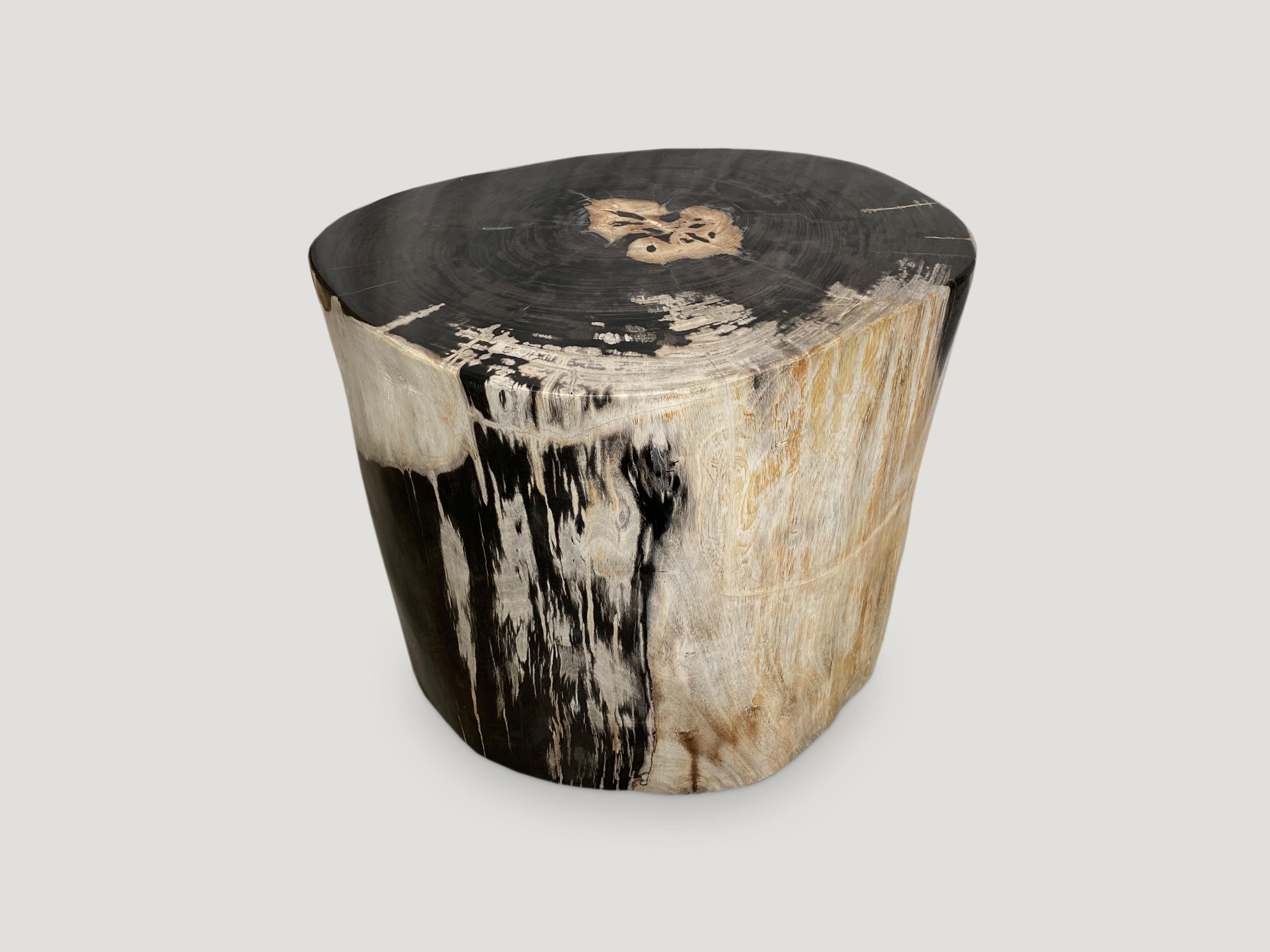 Impressive oversized high quality petrified wood side table with dramatic contrasting tones. It’s fascinating how Mother Nature produces these exquisite 40 million year old petrified teak logs with such contrasting colors with natural patterns