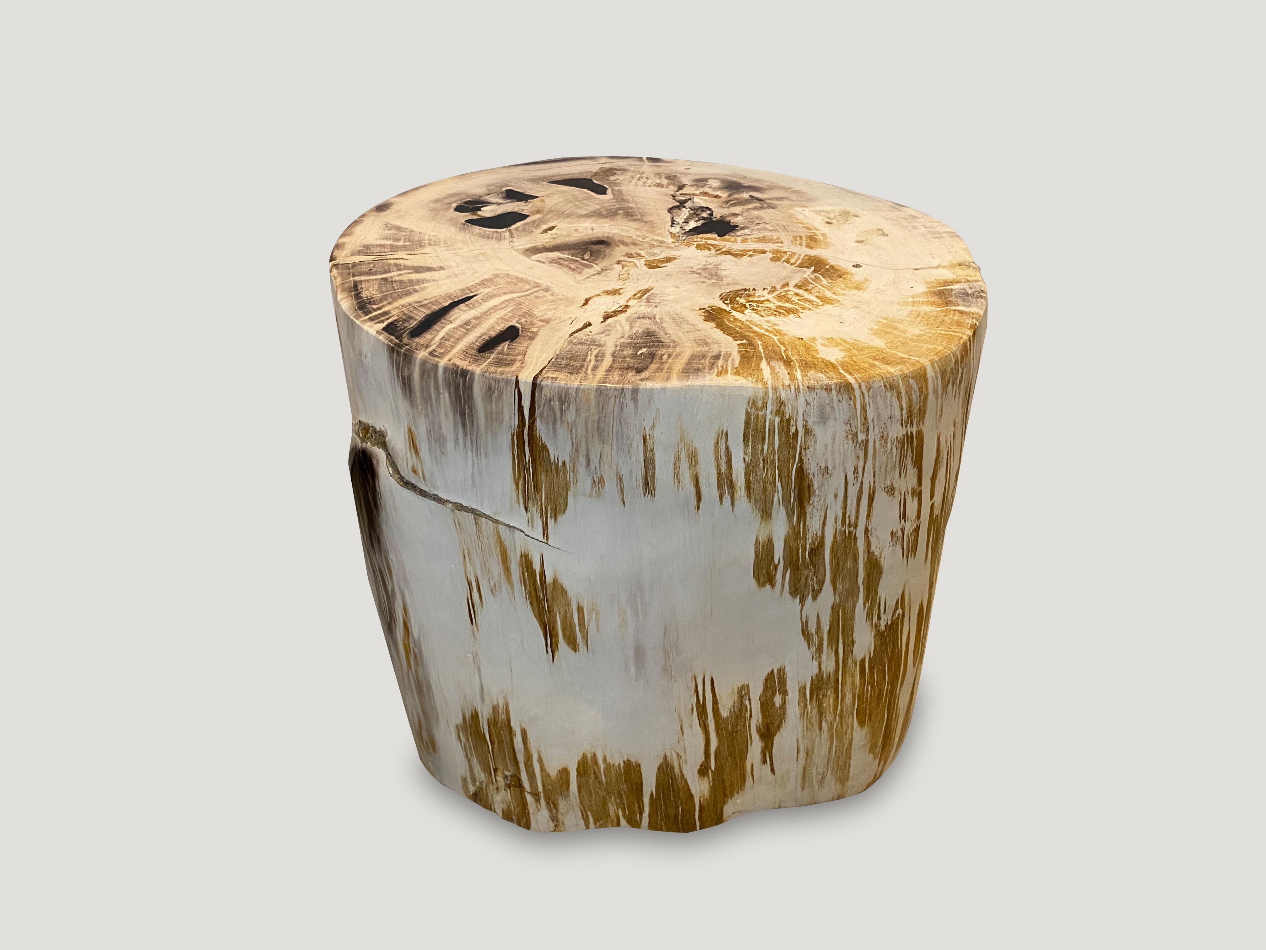 Impressive oversized high quality petrified wood side table with dramatic contrasting tones. It’s fascinating how Mother Nature produces these exquisite 40 million year old petrified teak logs with such contrasting colors with natural patterns