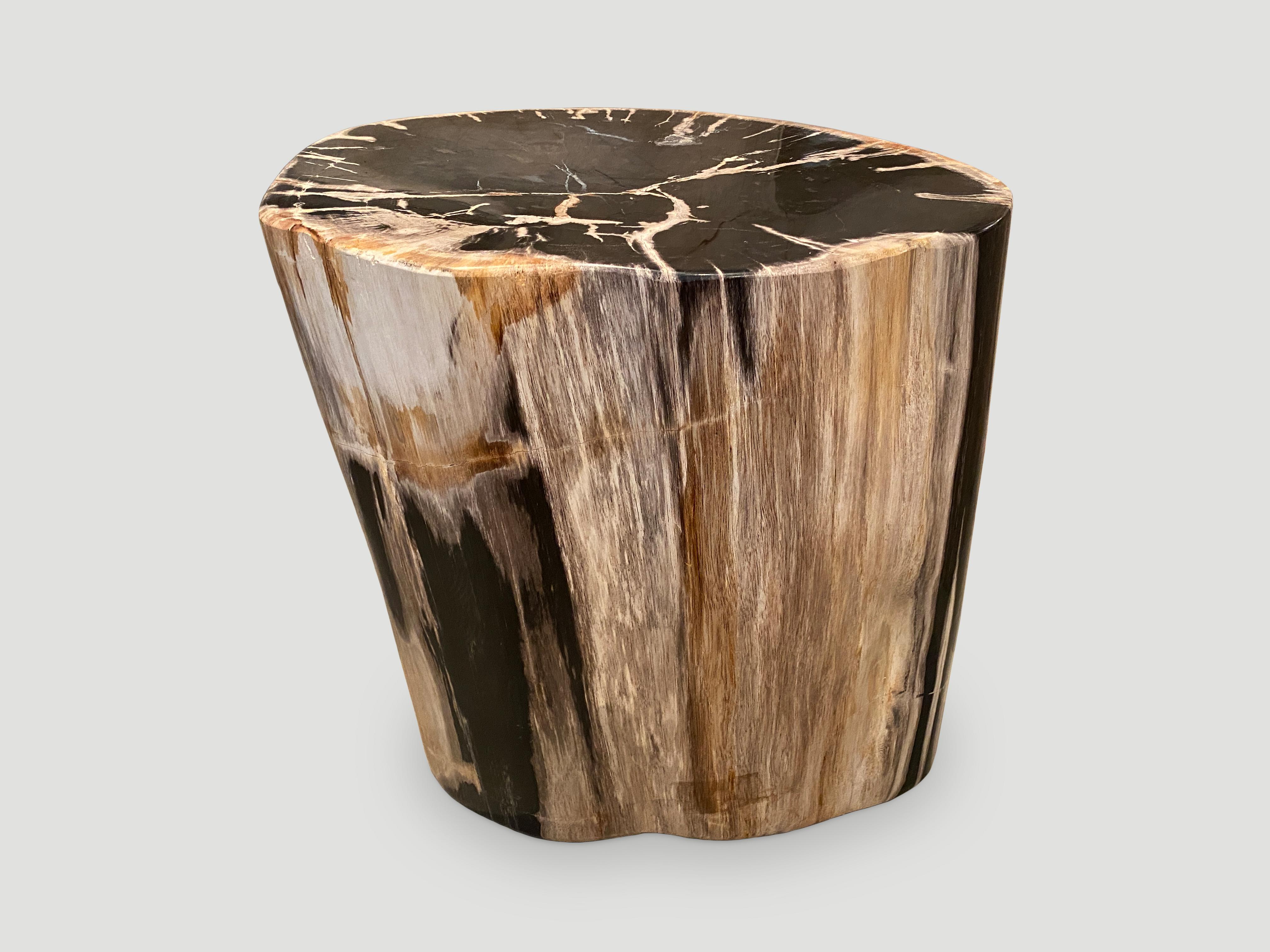 Stunning bold tones on this impressive high quality petrified wood side table. This one has beautiful natural markings. It’s fascinating how Mother Nature produces these stunning 40 million year old petrified teak logs with such contrasting colors