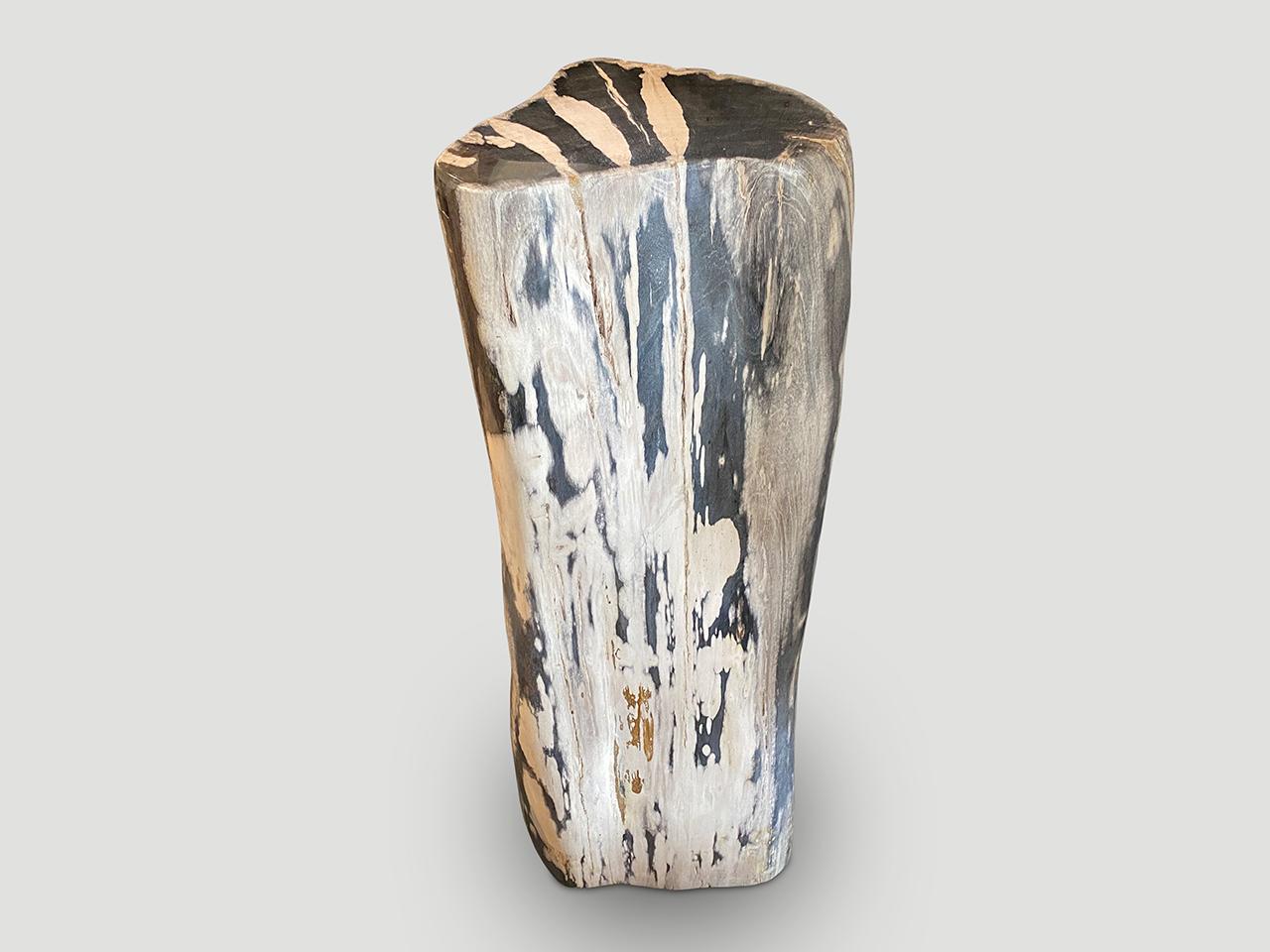 Striking contrasting tones on the beautiful high quality petrified wood rare pedestal.  It’s fascinating how Mother Nature produces these stunning 40 million year old petrified teak logs with such contrasting colors and natural patterns throughout.