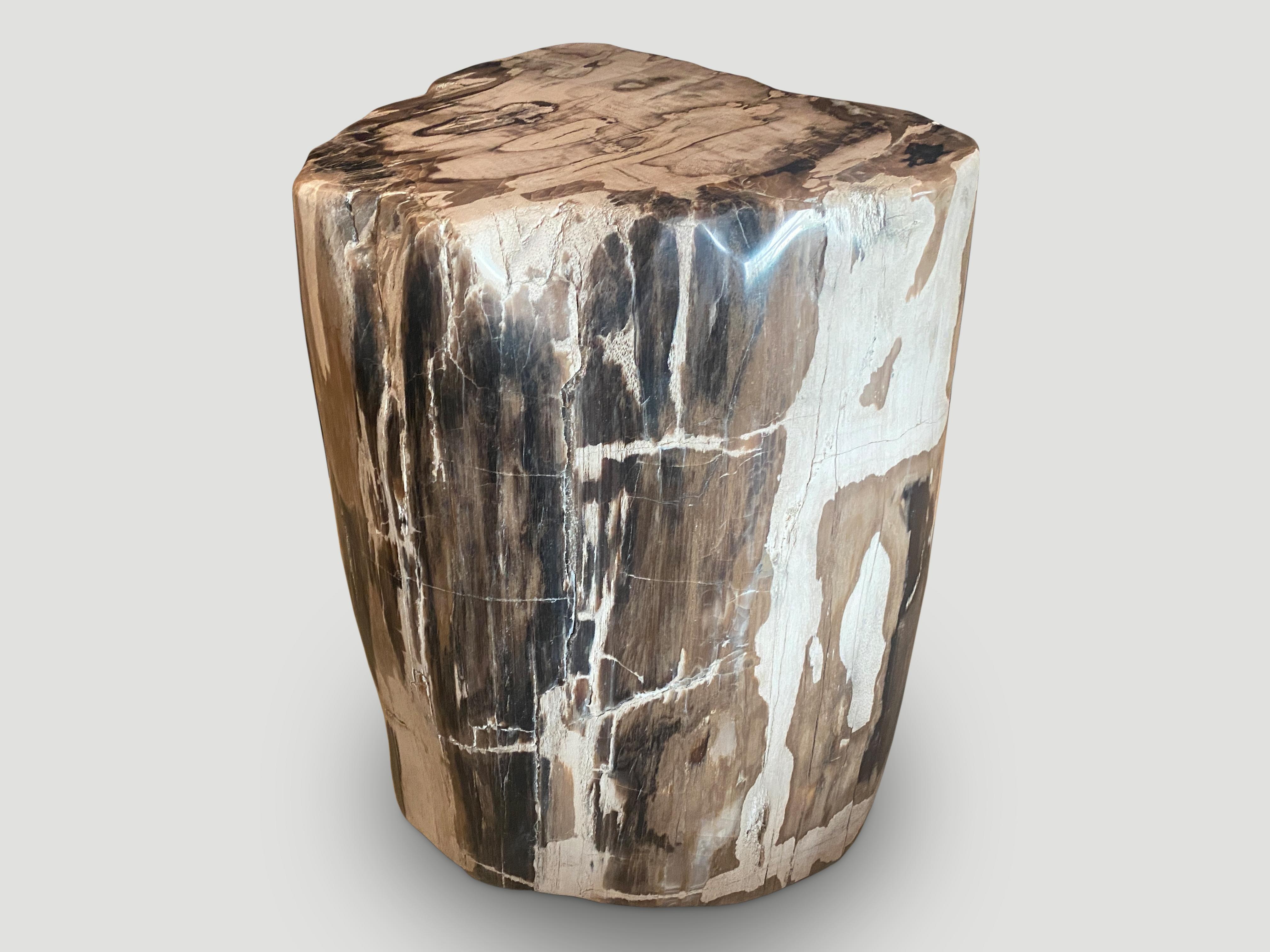 Beautiful contrasting tones and markings on this impressive high quality petrified wood side table or pedestal. It’s fascinating how Mother Nature produces these exquisite 40 million year old petrified teak logs with such contrasting colors and