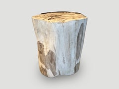 Andrianna Shamaris Impressive High Quality Petrified Wood Side Table