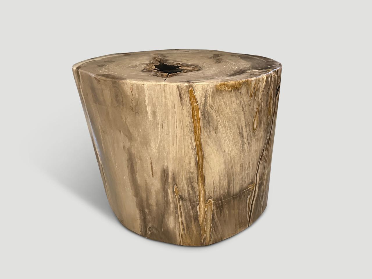 Impressive high quality petrified wood side table. It’s fascinating how Mother Nature produces these stunning 40 million year old petrified teak logs with such contrasting colors and natural patterns throughout. Modern yet with so much history.