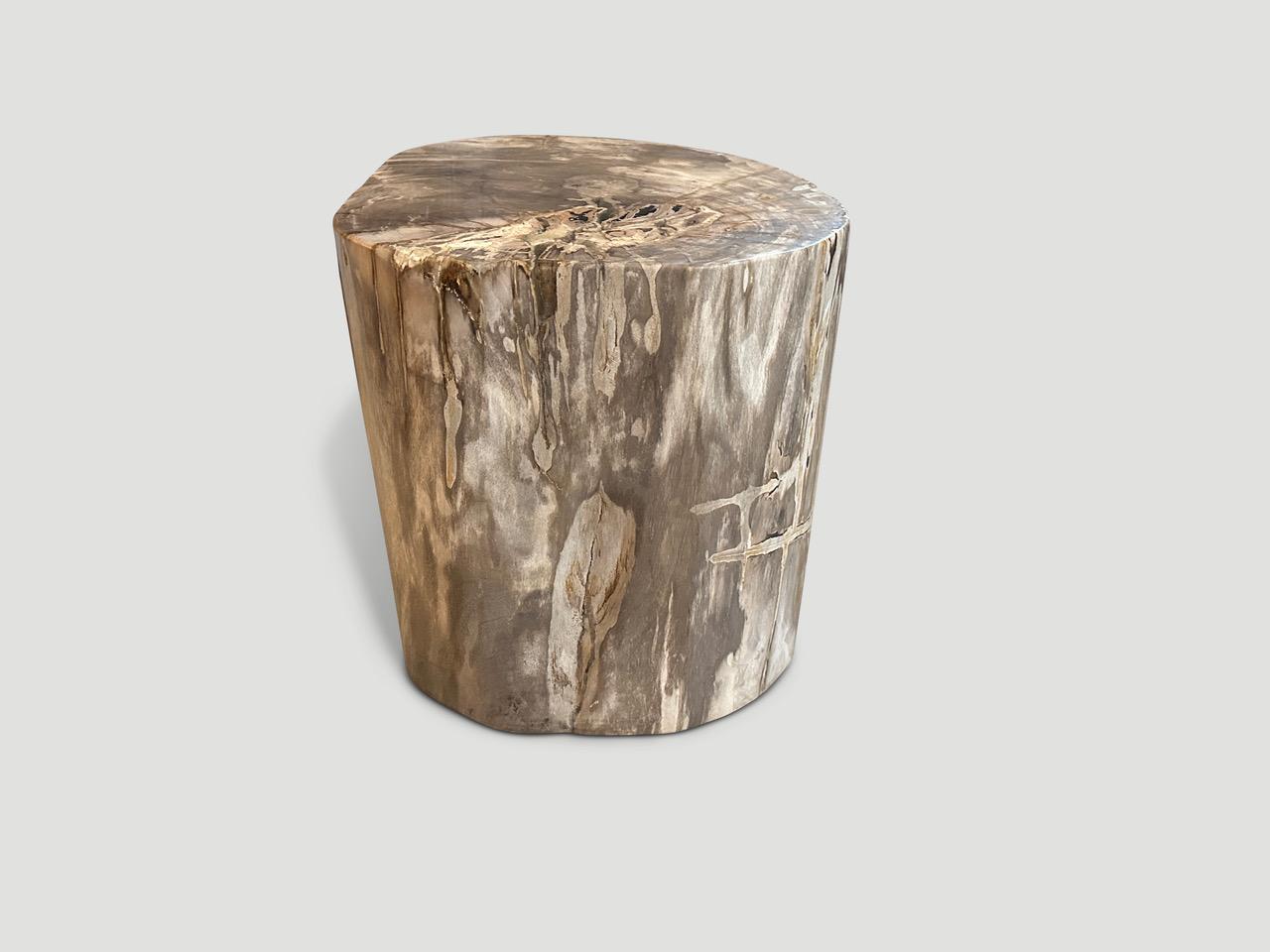 Schöne Töne und Markierungen auf diesem großen Beistelltisch aus versteinertem Holz von hoher Qualität. Es ist faszinierend, wie Mutter Natur diese atemberaubenden, 40 Millionen Jahre alten, versteinerten Teakholzstämme mit solch kontrastreichen