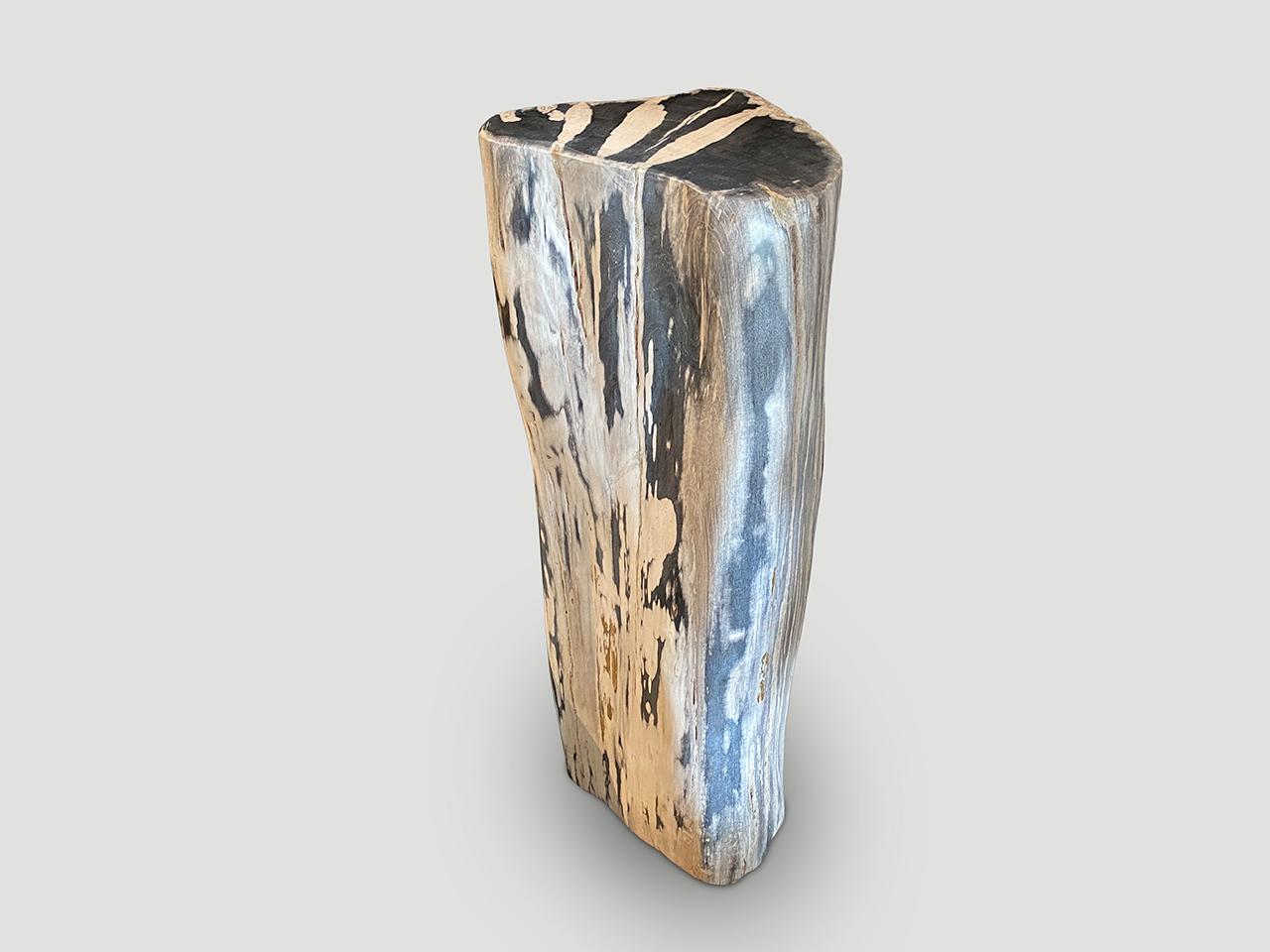 Organic Modern Andrianna Shamaris Impressive High Quality Petrified Wood Pedestal For Sale