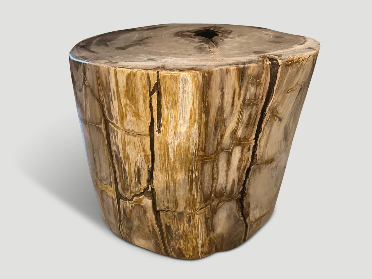 Organic Modern Andrianna Shamaris Impressive High Quality Petrified Wood Side Table For Sale