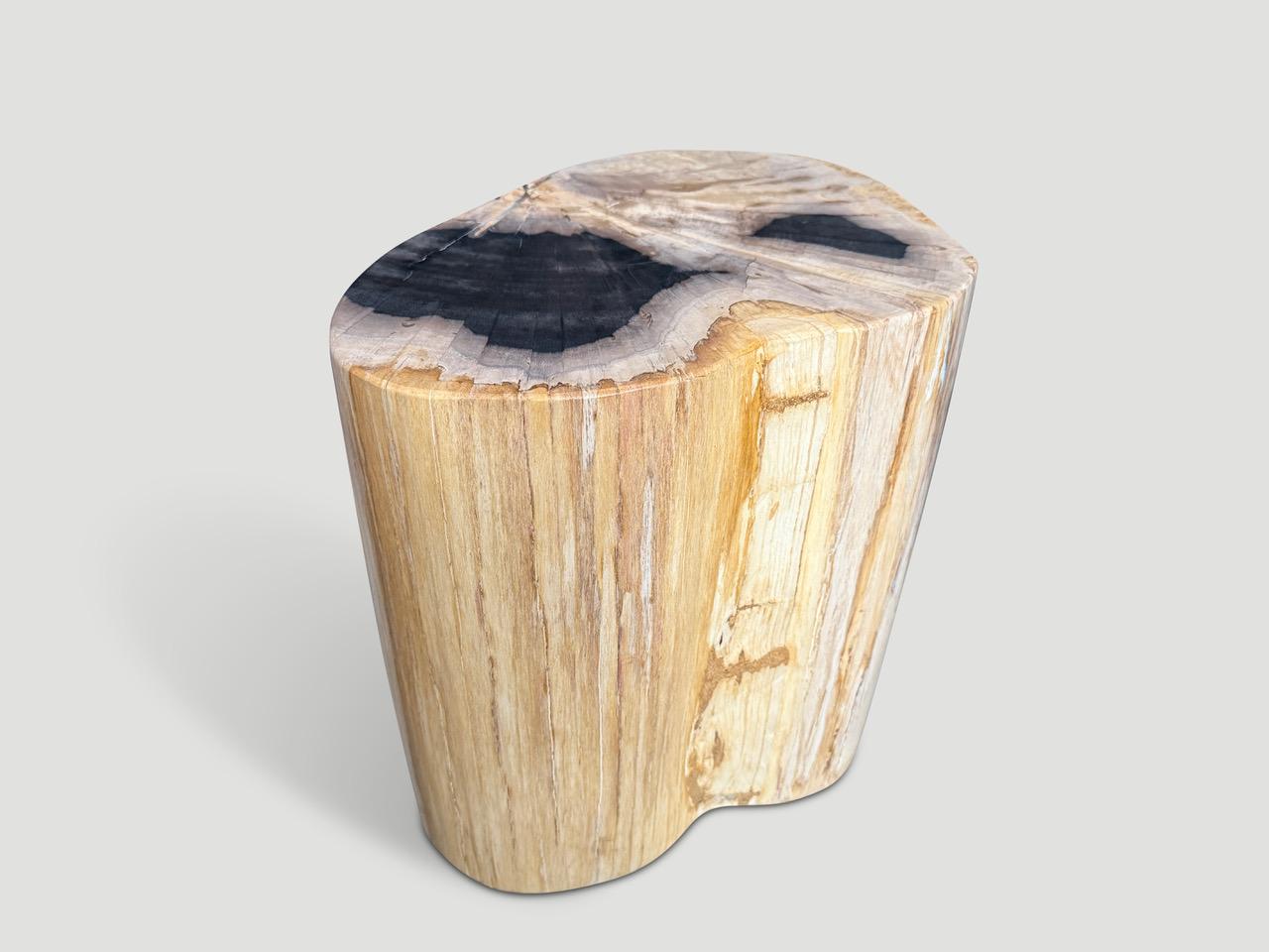 Organic Modern Andrianna Shamaris Impressive High Quality Petrified Wood Side Table For Sale