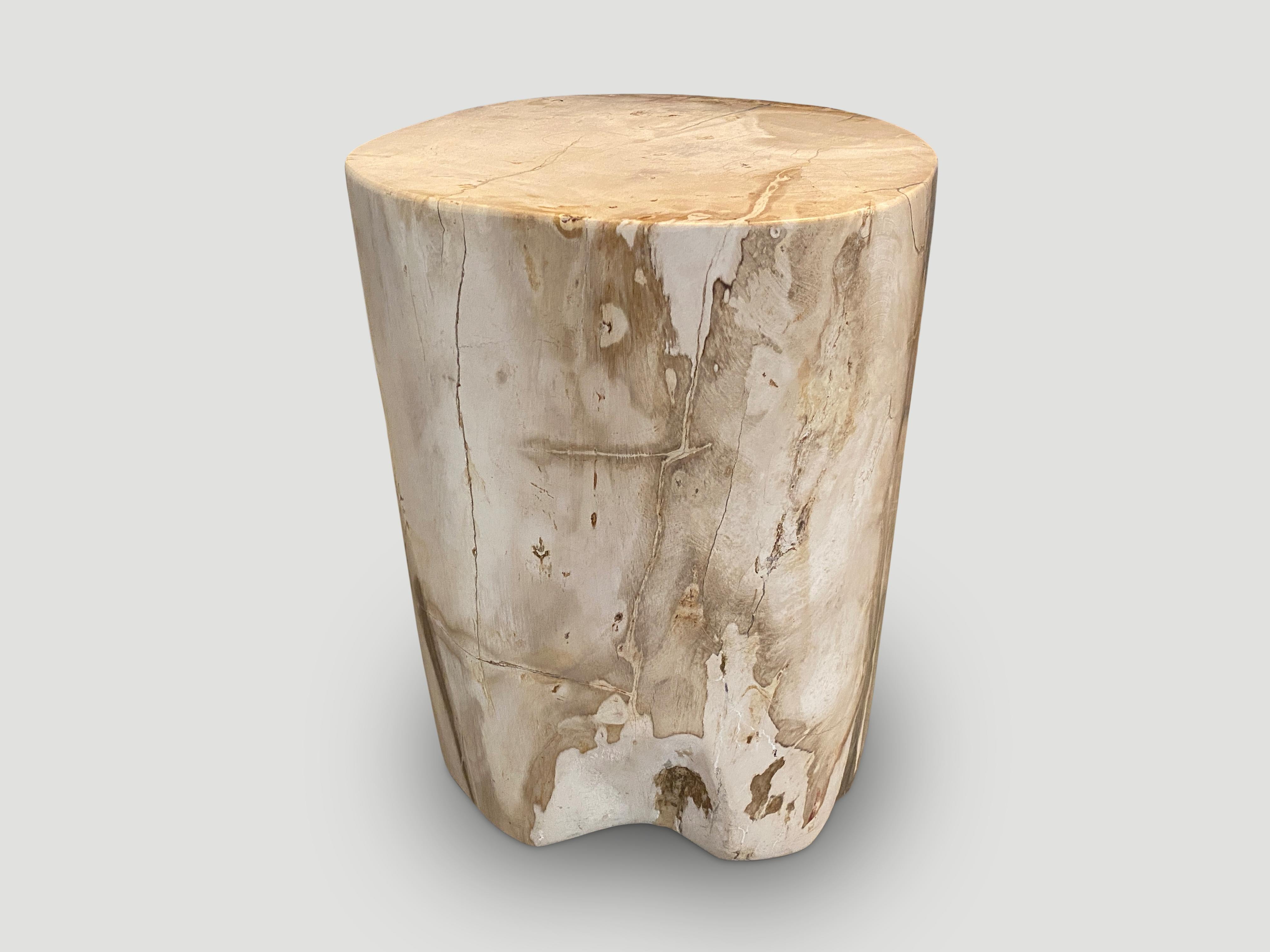 Organique Impressionnante table d'appoint Andrianna Shamaris en bois pétrifié de haute qualité en vente