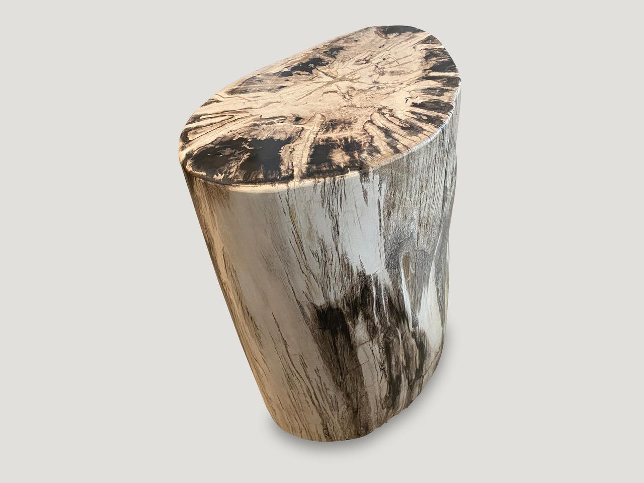 Andrianna Shamaris Impressive High Quality Petrified Wood Side Table In Excellent Condition In New York, NY