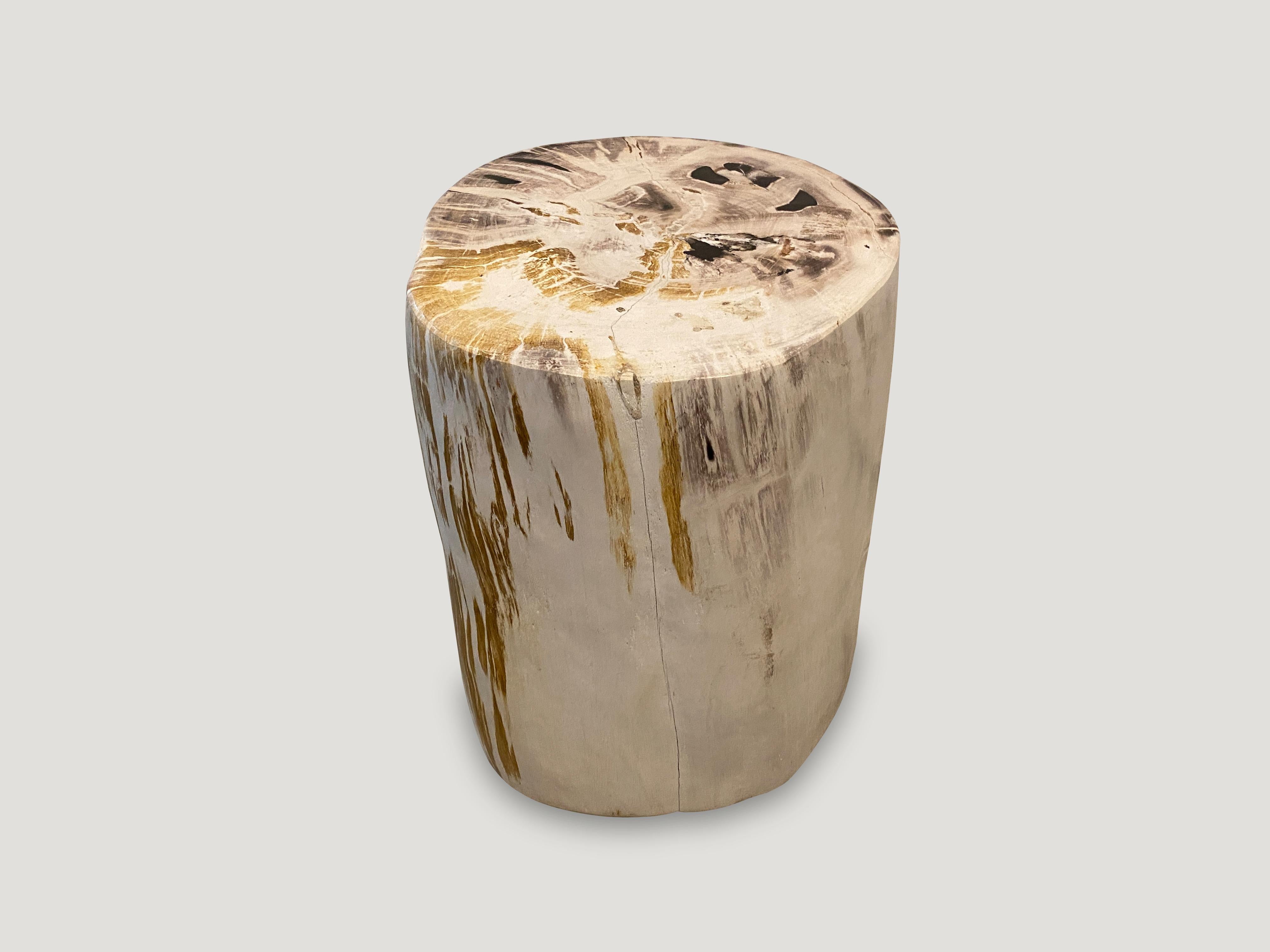 Organic Modern Andrianna Shamaris Impressive High Quality Petrified Wood Side Table