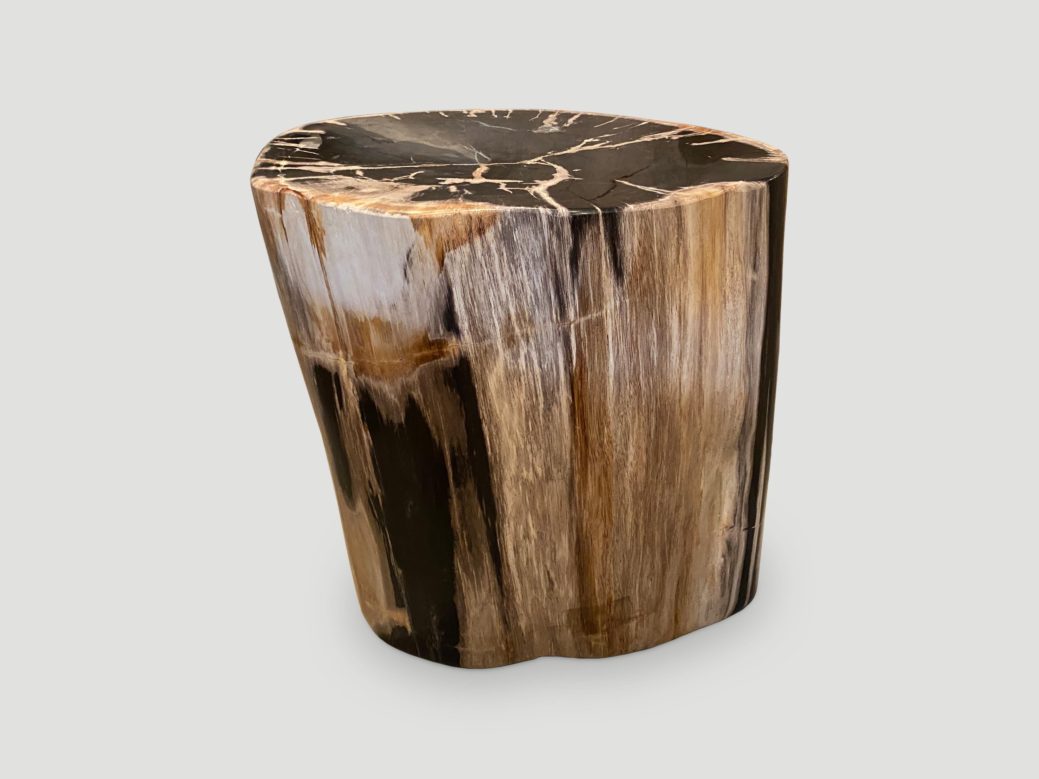 Organic Modern Andrianna Shamaris Impressive High Quality Petrified Wood Side Table