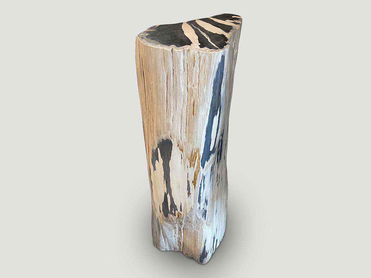 Andrianna Shamaris Impressive High Quality Petrified Wood Pedestal In Excellent Condition For Sale In New York, NY