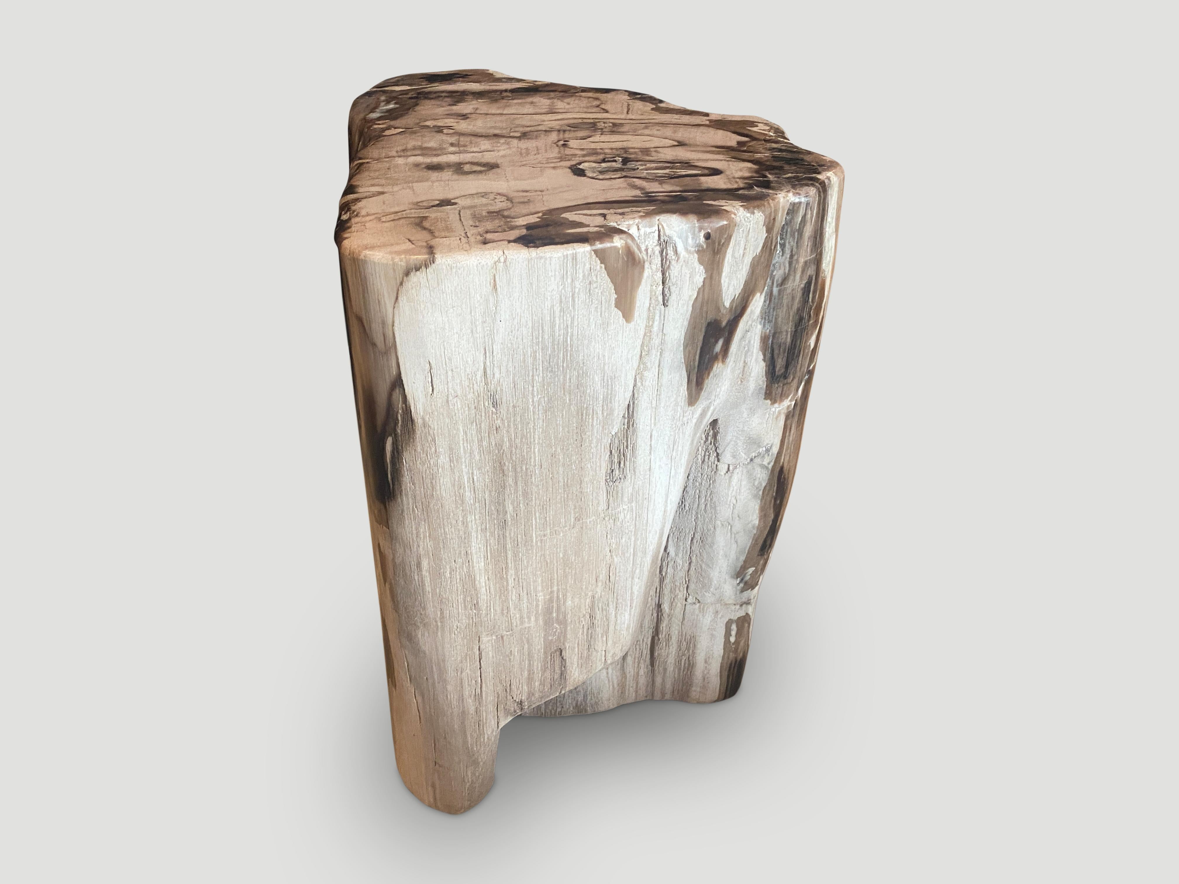 Organic Modern Andrianna Shamaris Impressive Petrified Wood Side Table or Pedestal For Sale