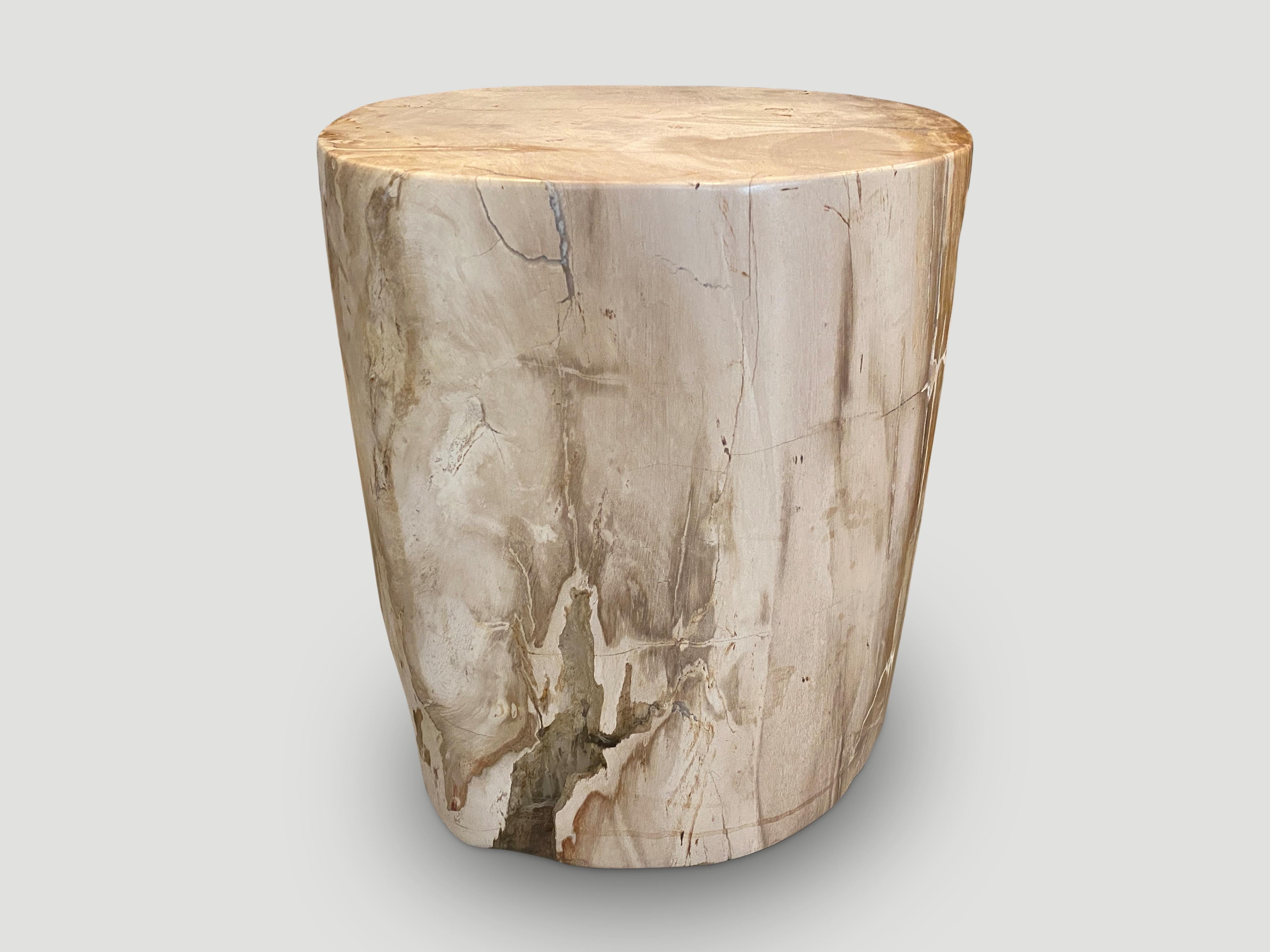 Andrianna Shamaris Impressive High Quality Petrified Wood Side Table In Excellent Condition For Sale In New York, NY