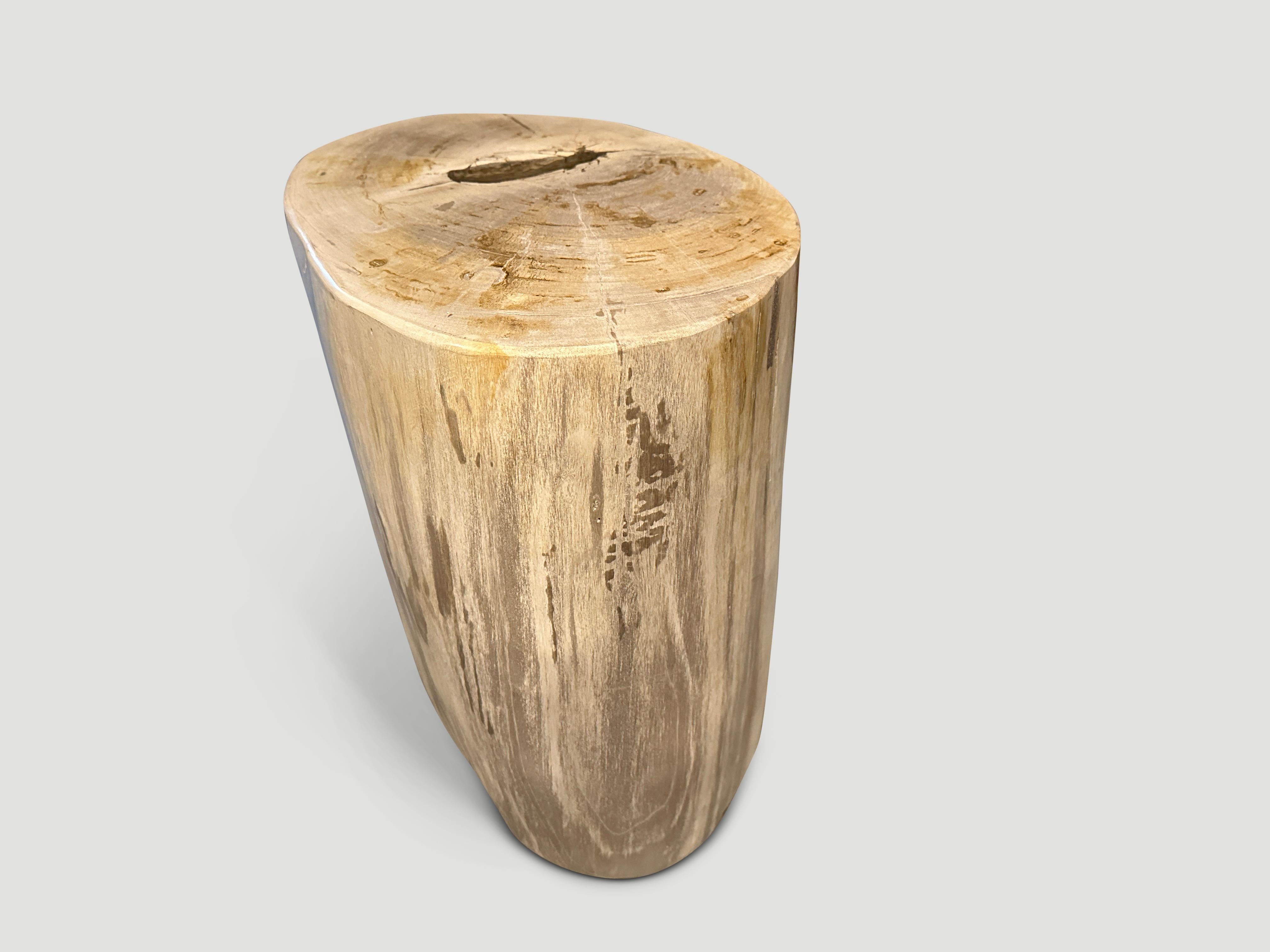 Andrianna Shamaris Beeindruckender Beistelltisch aus versteinertem Holz in hoher Qualität im Zustand „Hervorragend“ im Angebot in New York, NY