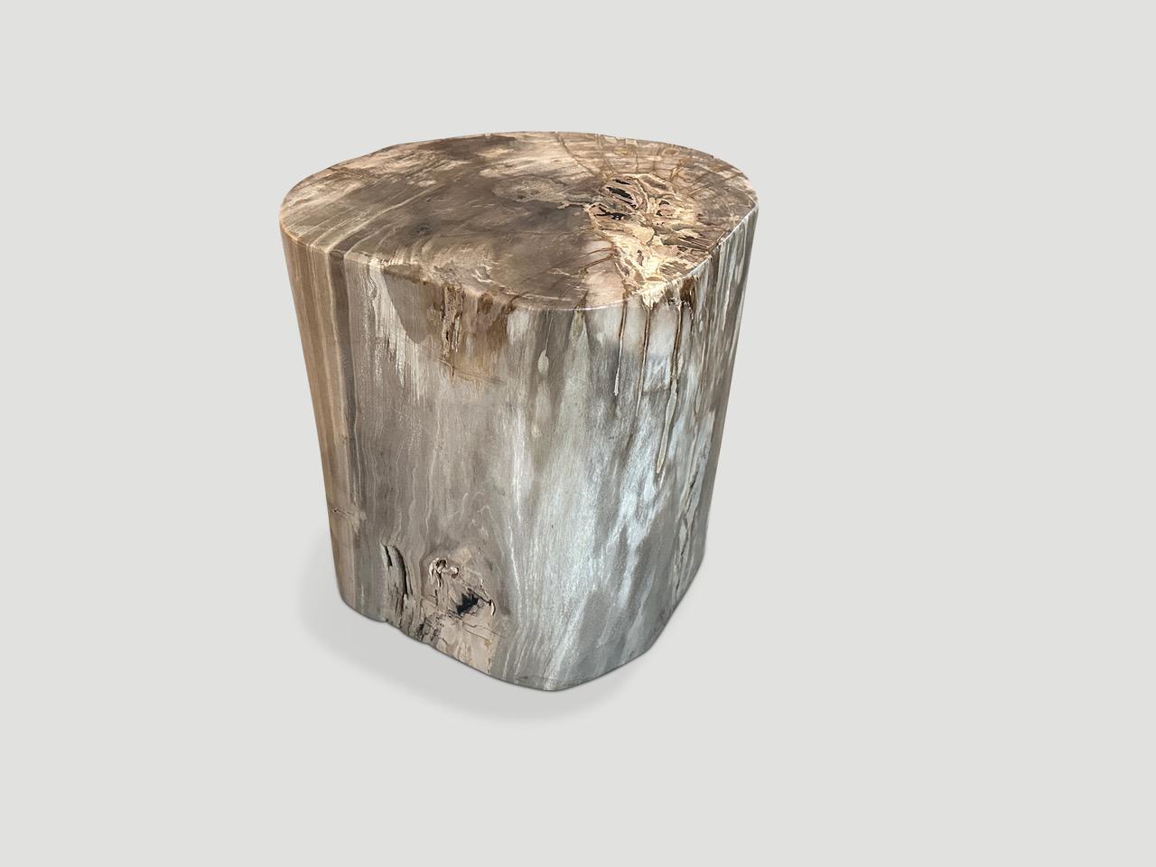 Andrianna Shamaris Beeindruckender Beistelltisch aus versteinertem Holz in hoher Qualität im Zustand „Hervorragend“ im Angebot in New York, NY