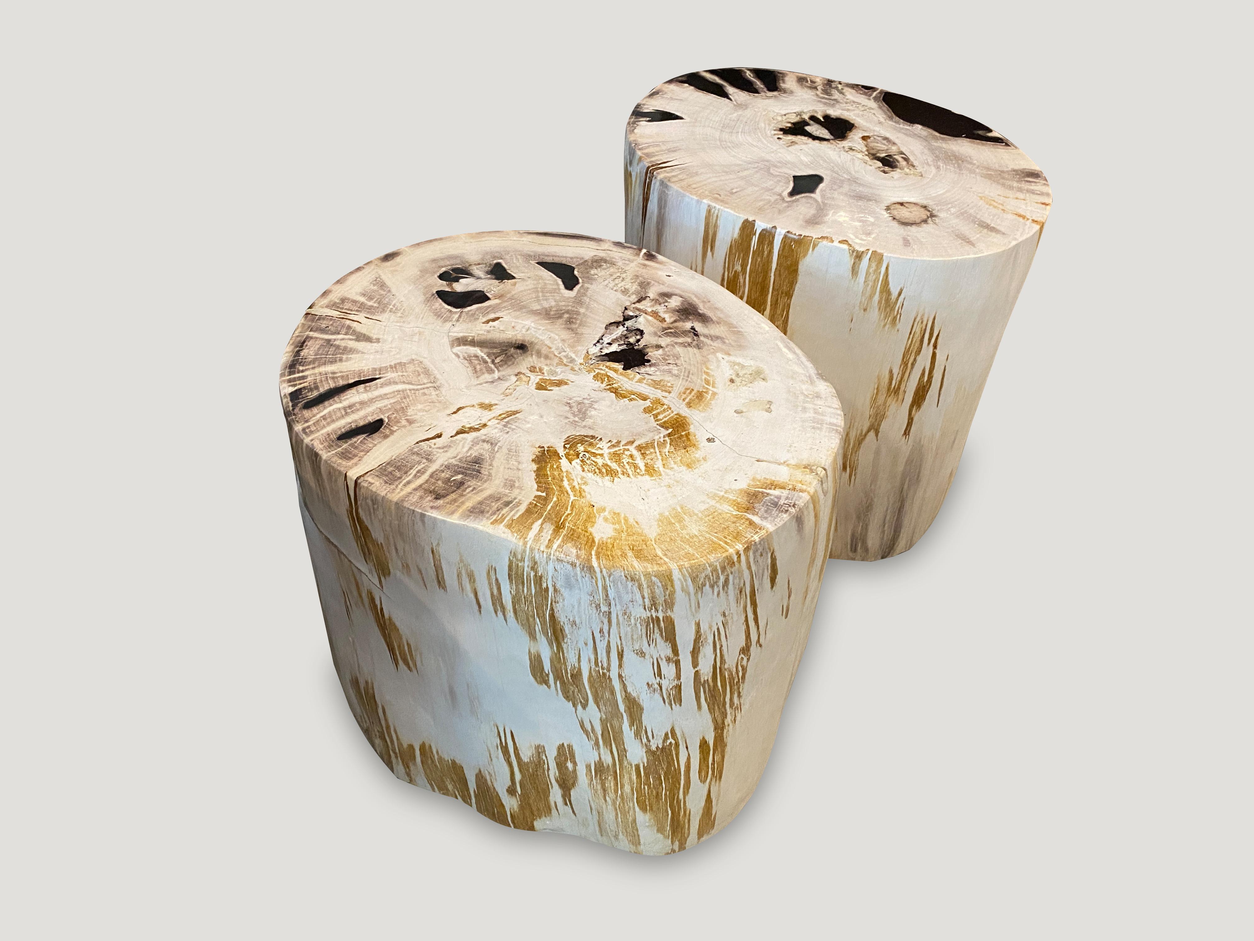 Andrianna Shamaris Impressive High Quality Petrified Wood Side Table In Excellent Condition In New York, NY