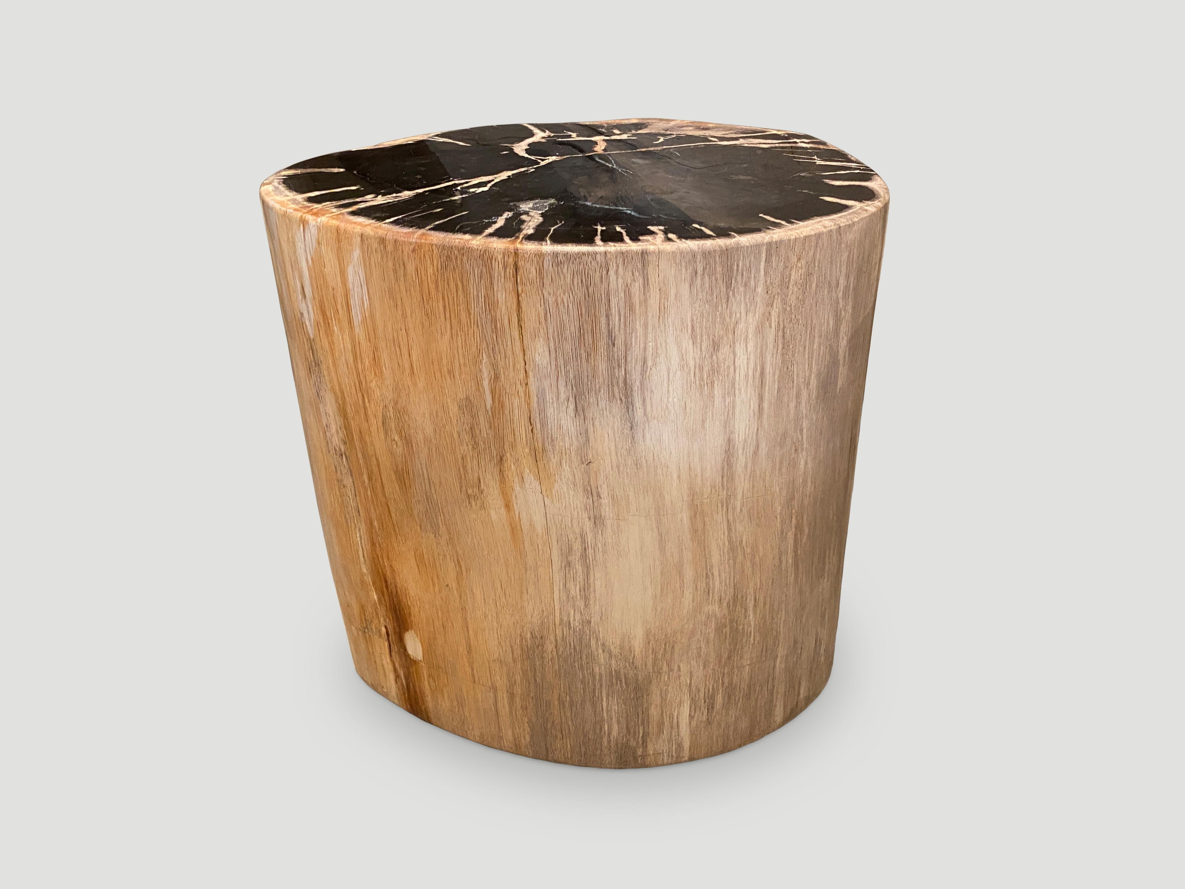 Andrianna Shamaris Impressive High Quality Petrified Wood Side Table In Excellent Condition In New York, NY