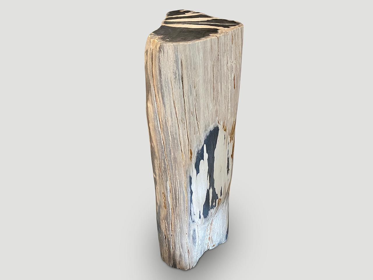 Contemporary Andrianna Shamaris Impressive High Quality Petrified Wood Pedestal For Sale