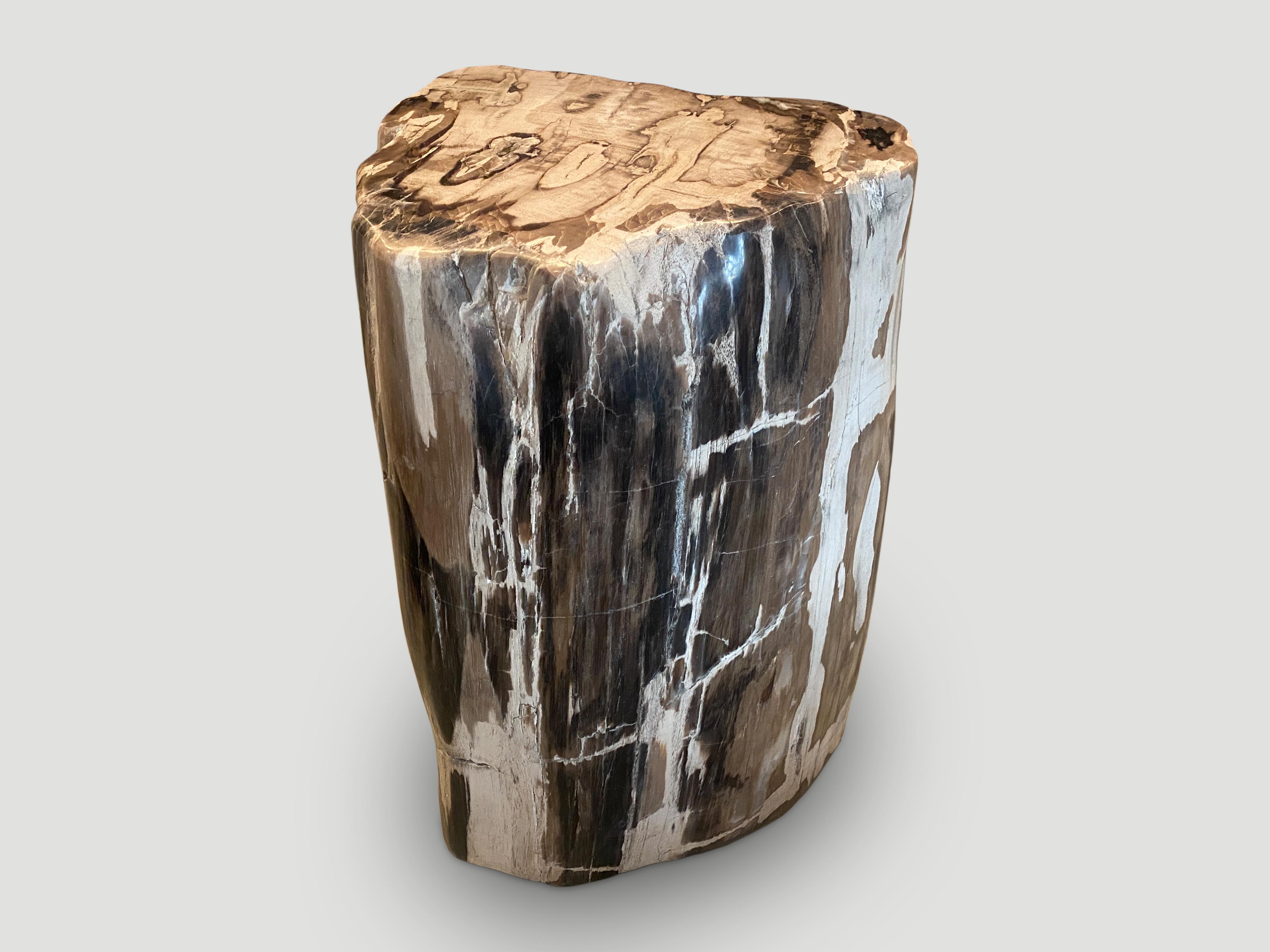 Andrianna Shamaris Impressive Petrified Wood Side Table or Pedestal In Excellent Condition For Sale In New York, NY