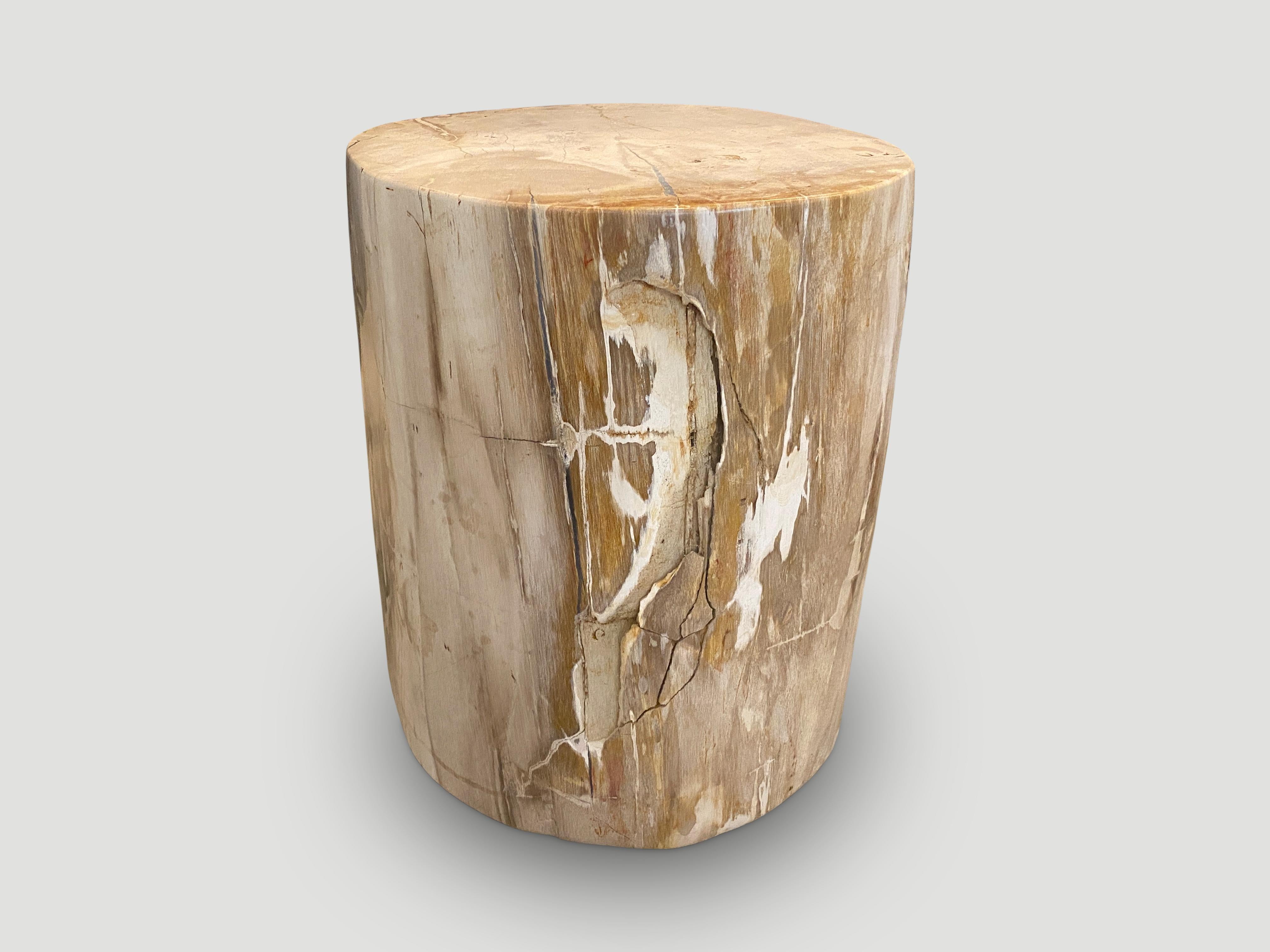 Contemporary Andrianna Shamaris Impressive High Quality Petrified Wood Side Table For Sale
