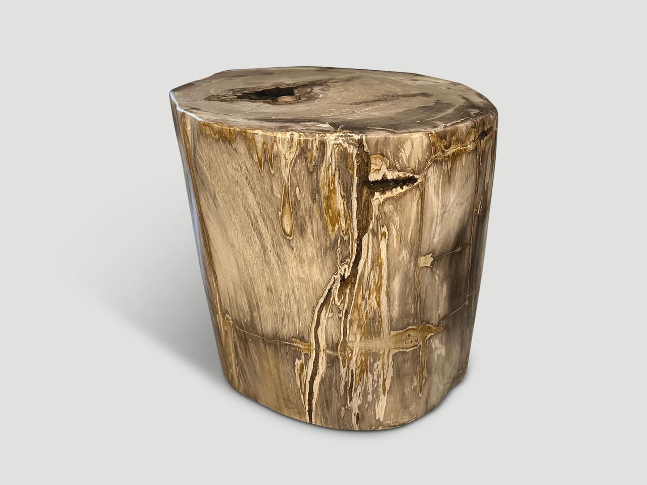 Contemporary Andrianna Shamaris Impressive High Quality Petrified Wood Side Table For Sale