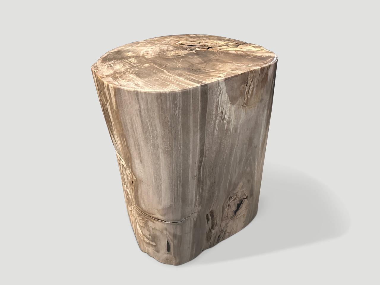 Andrianna Shamaris Beeindruckender Beistelltisch aus versteinertem Holz in hoher Qualität (21. Jahrhundert und zeitgenössisch) im Angebot