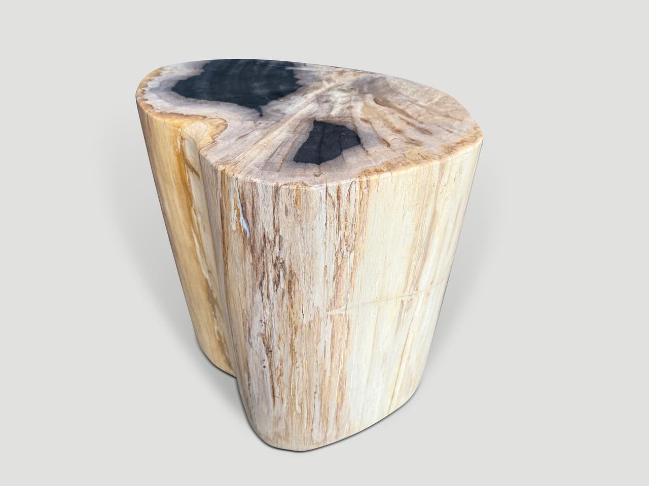 Contemporary Andrianna Shamaris Impressive High Quality Petrified Wood Side Table For Sale