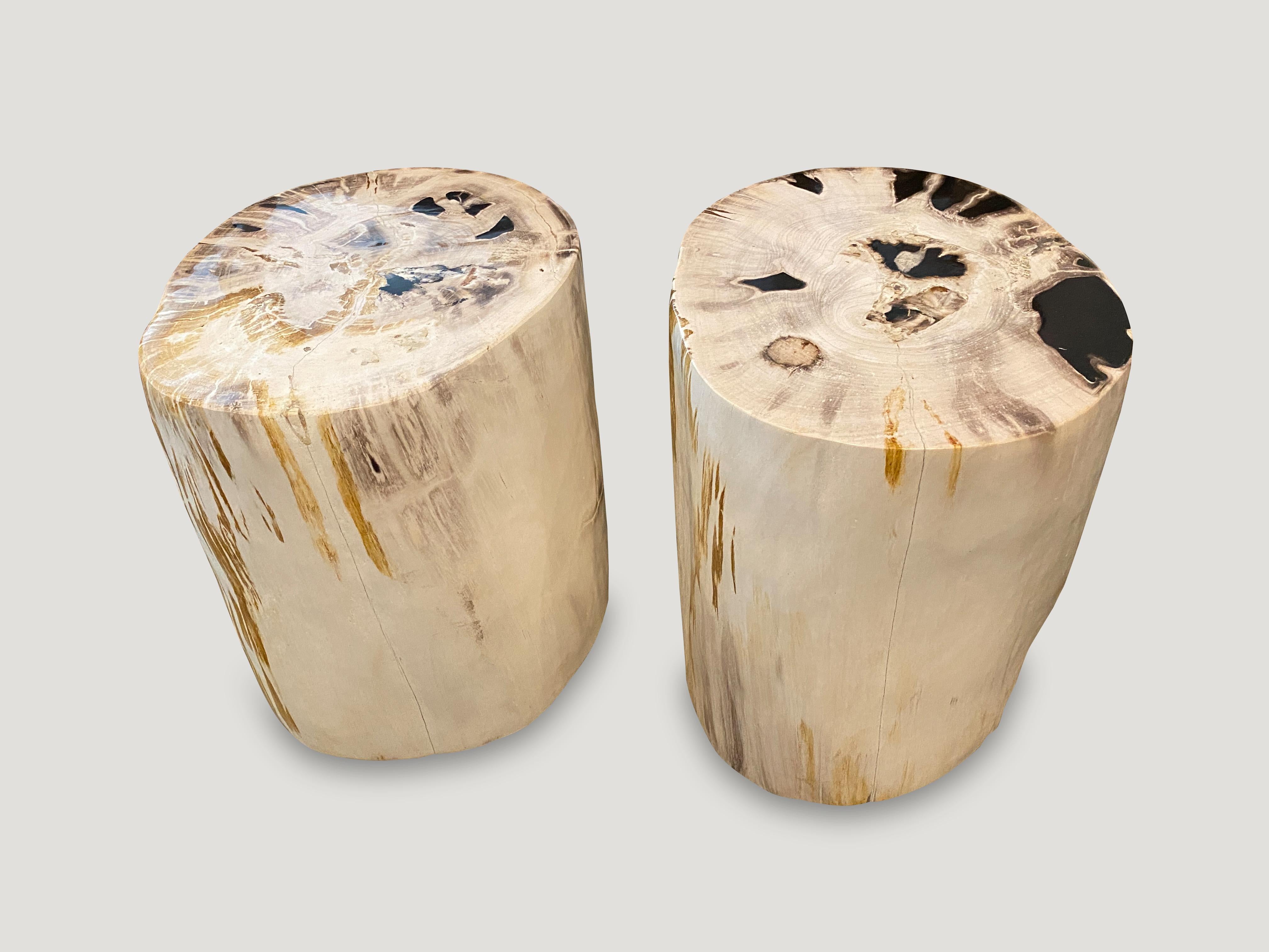 18th Century and Earlier Andrianna Shamaris Impressive High Quality Petrified Wood Side Table