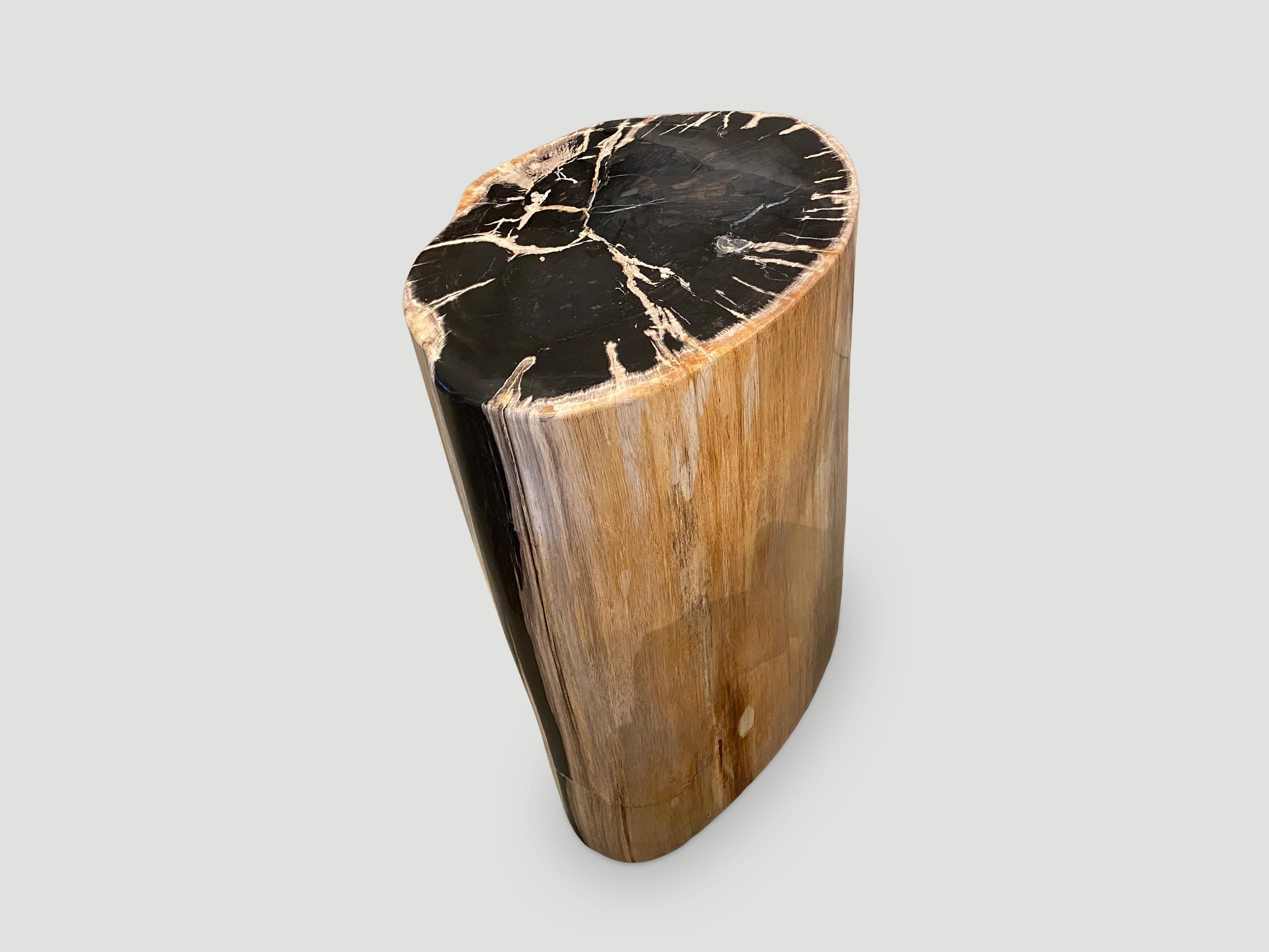Contemporary Andrianna Shamaris Impressive High Quality Petrified Wood Side Table