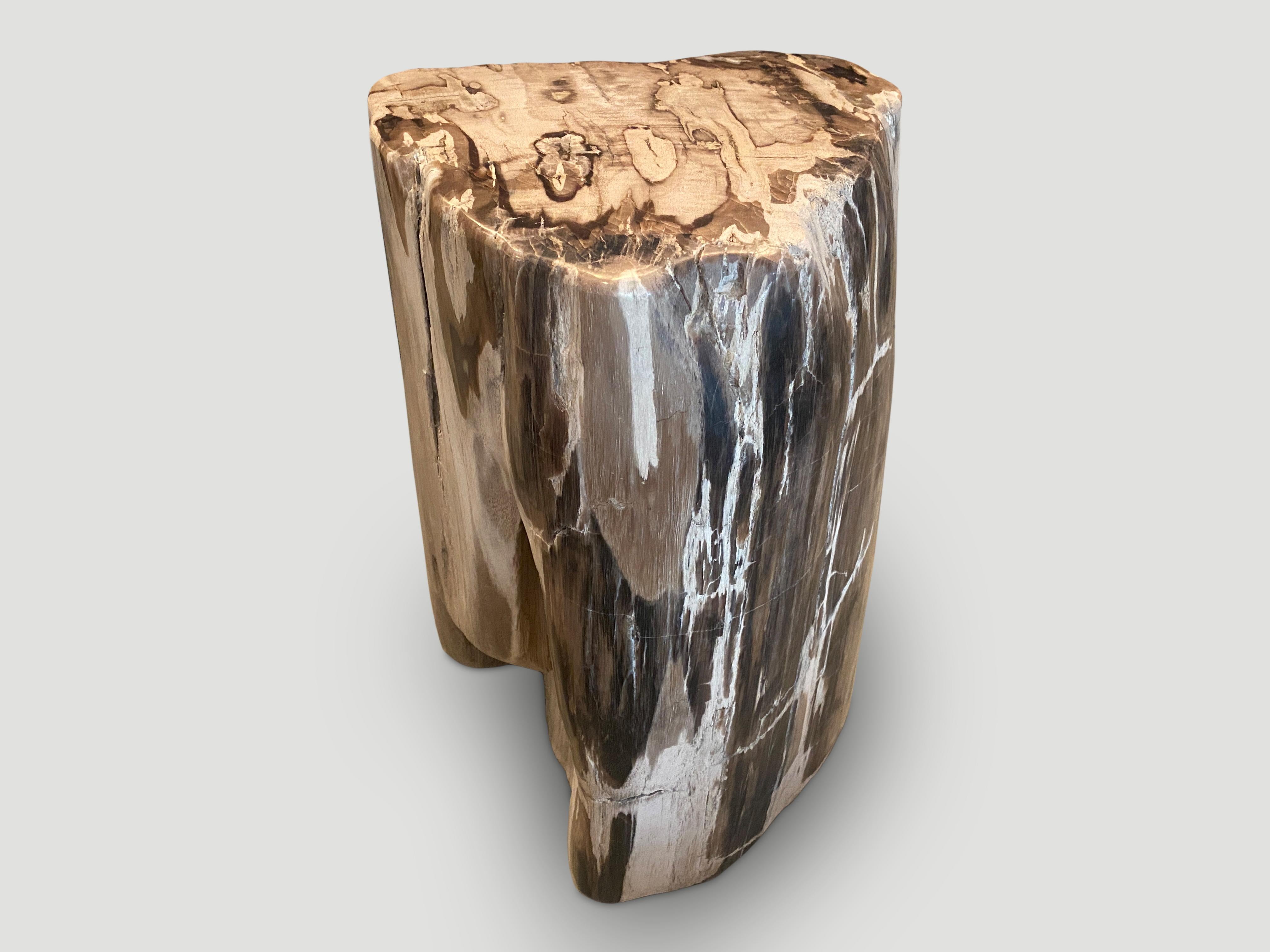 Contemporary Andrianna Shamaris Impressive Petrified Wood Side Table or Pedestal For Sale