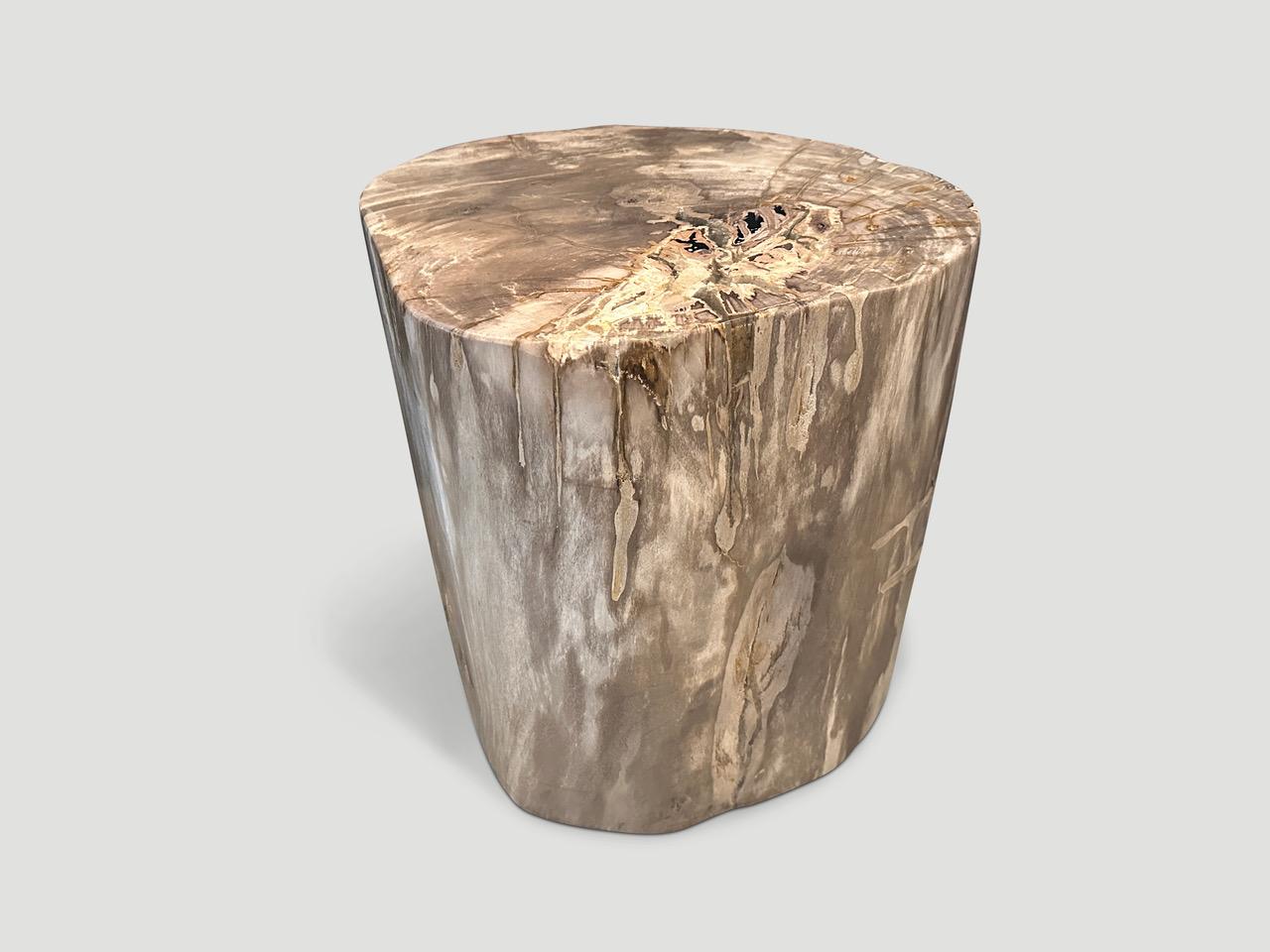 Andrianna Shamaris Beeindruckender Beistelltisch aus versteinertem Holz in hoher Qualität im Angebot 1
