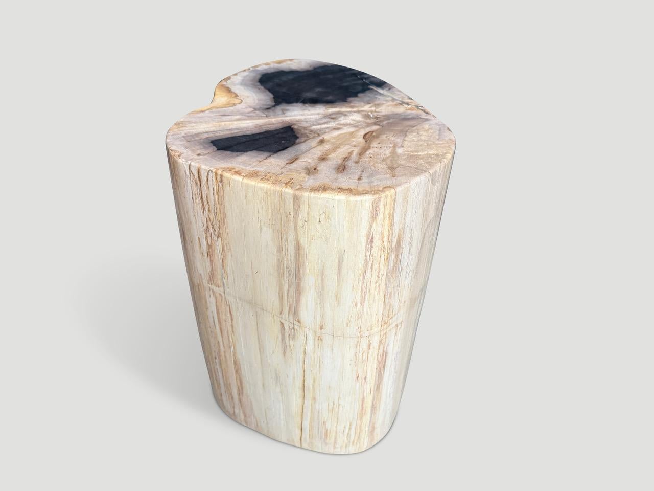 Andrianna Shamaris Impressive High Quality Petrified Wood Side Table For Sale 1