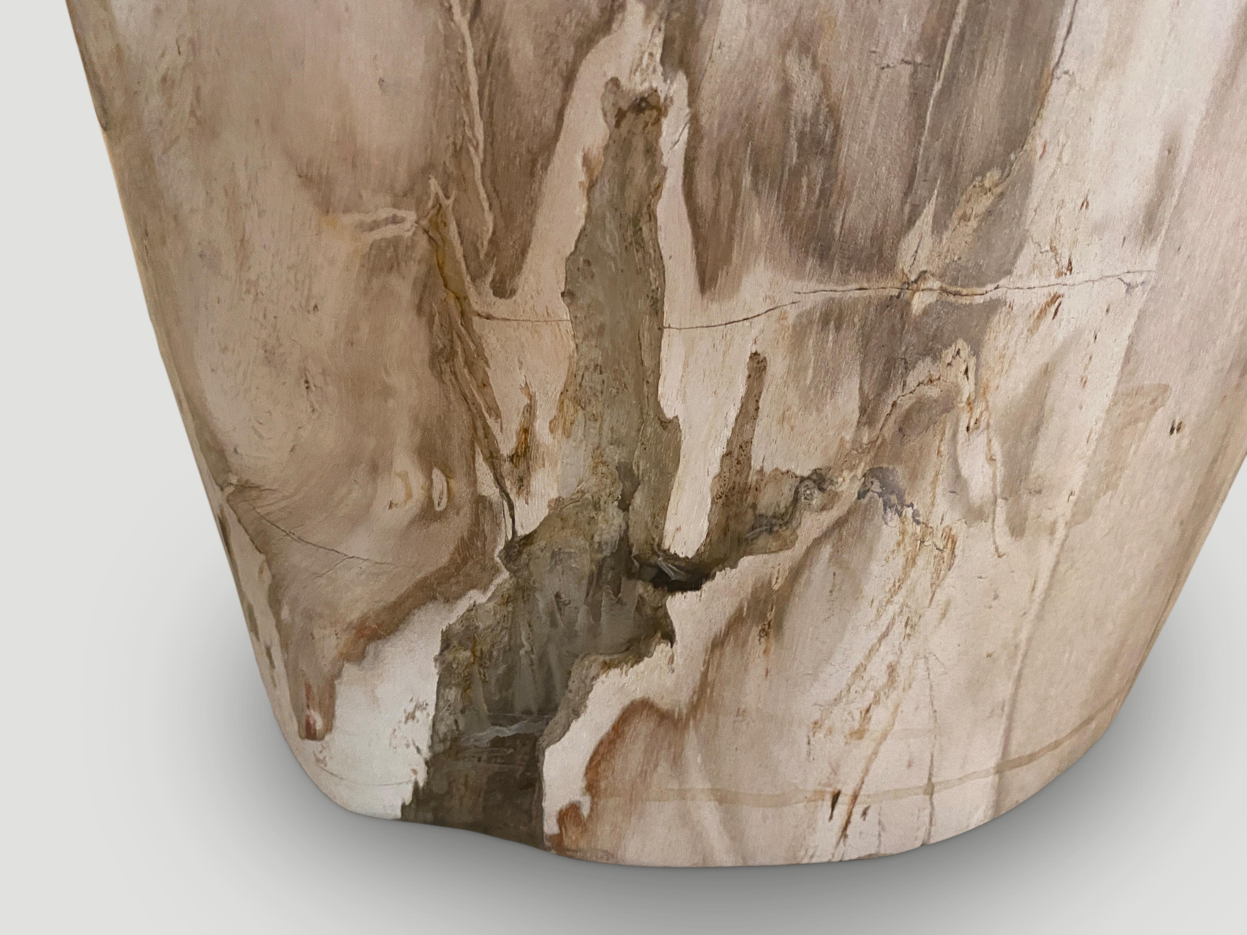 Bois Impressionnante table d'appoint Andrianna Shamaris en bois pétrifié de haute qualité en vente